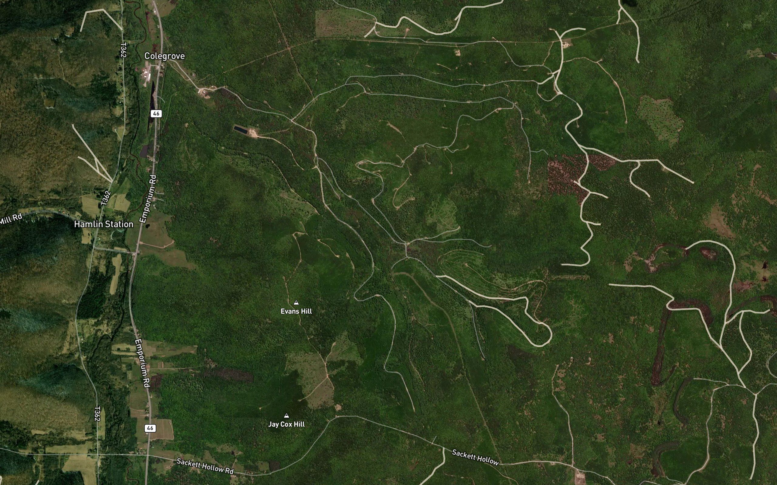 Taylor Field Branch