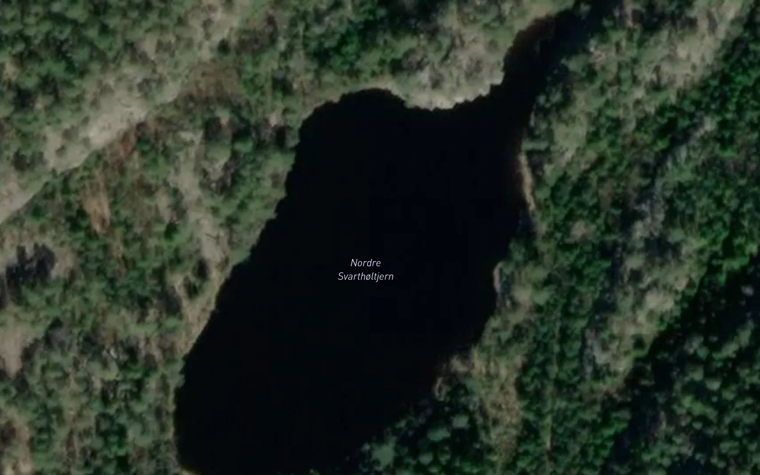 Svartholstjerna
