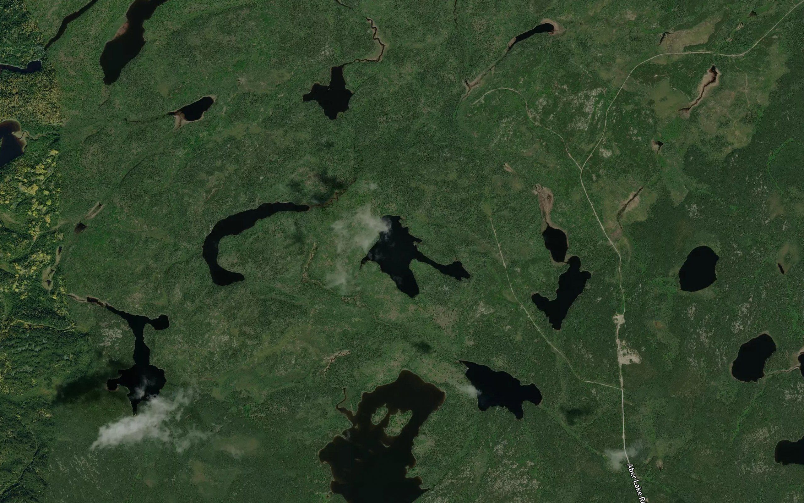 Swan Lake