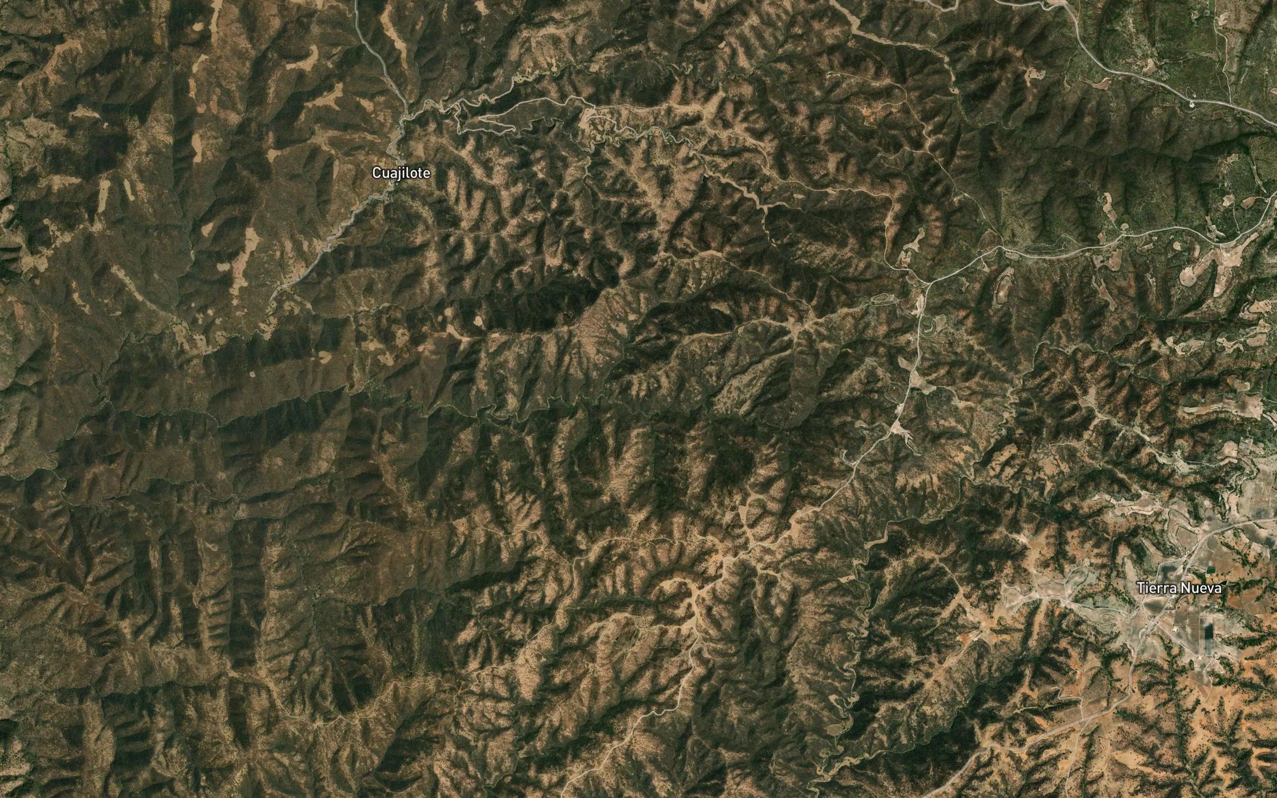 El Carrizalillo