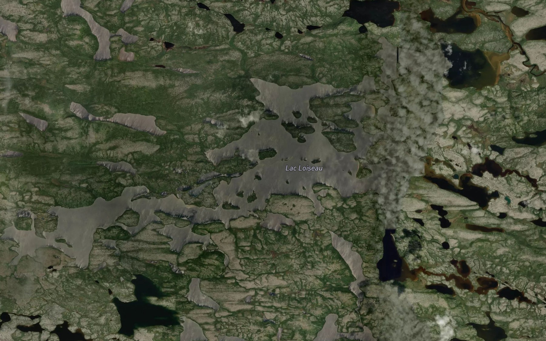 Satellite map of the Lac Loiseau