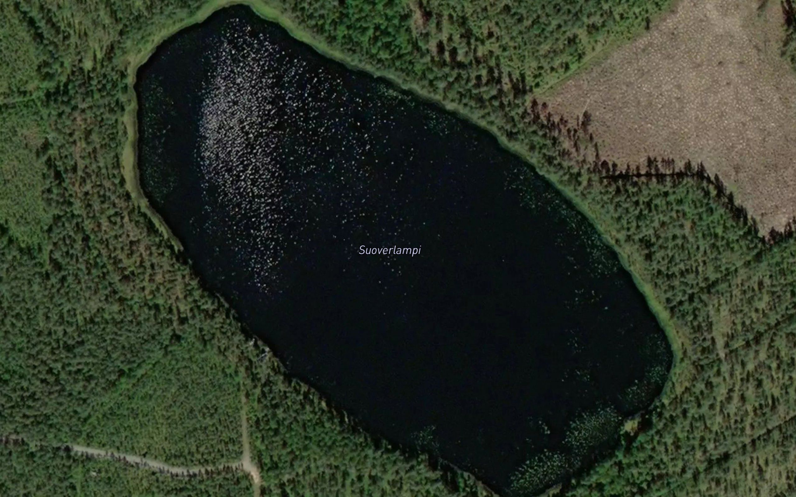 Suoverlampi
