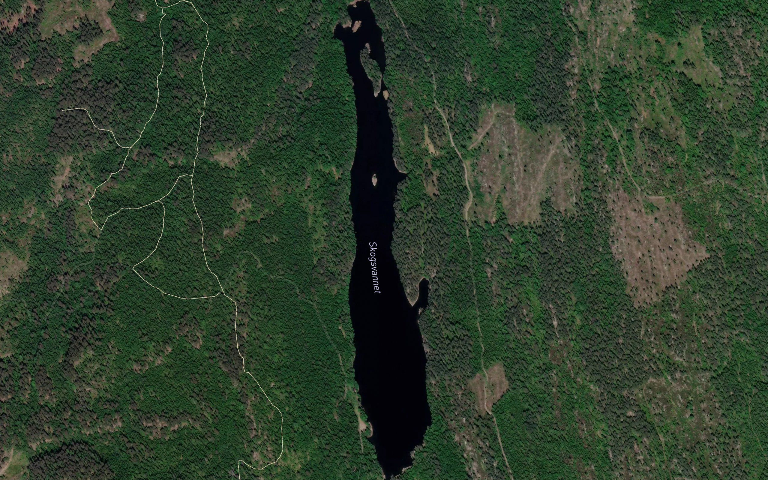 Skogsvannet