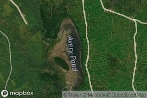 Avery Pond