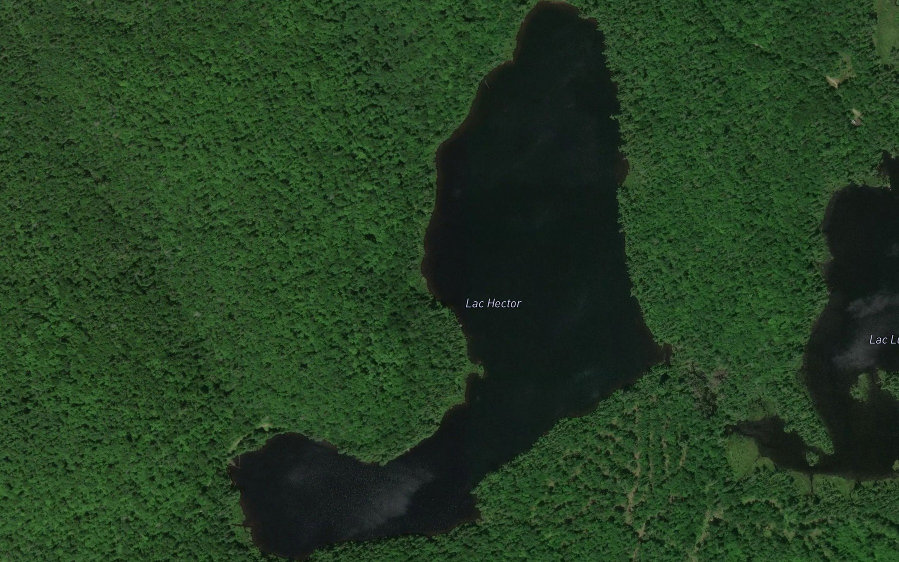 Satellite map of the Lac Hector