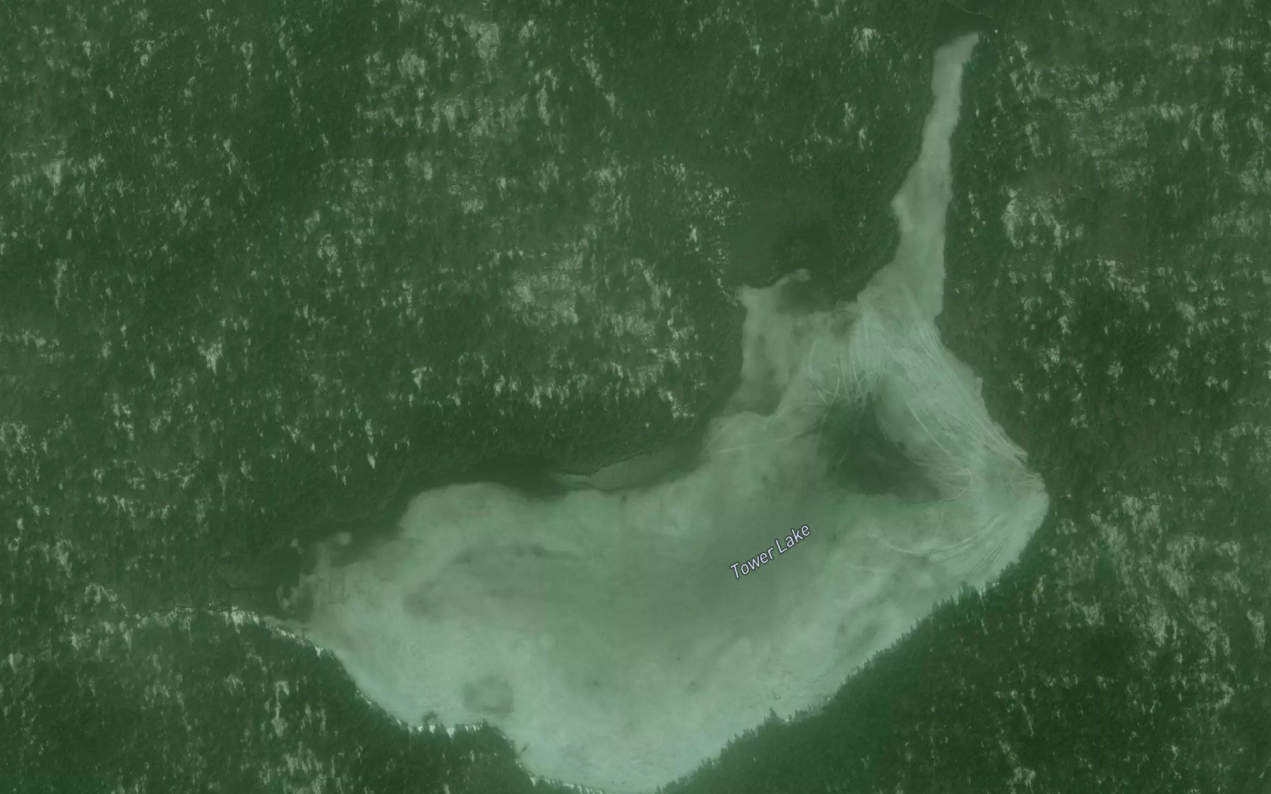 Satellite map of the Tower Lake