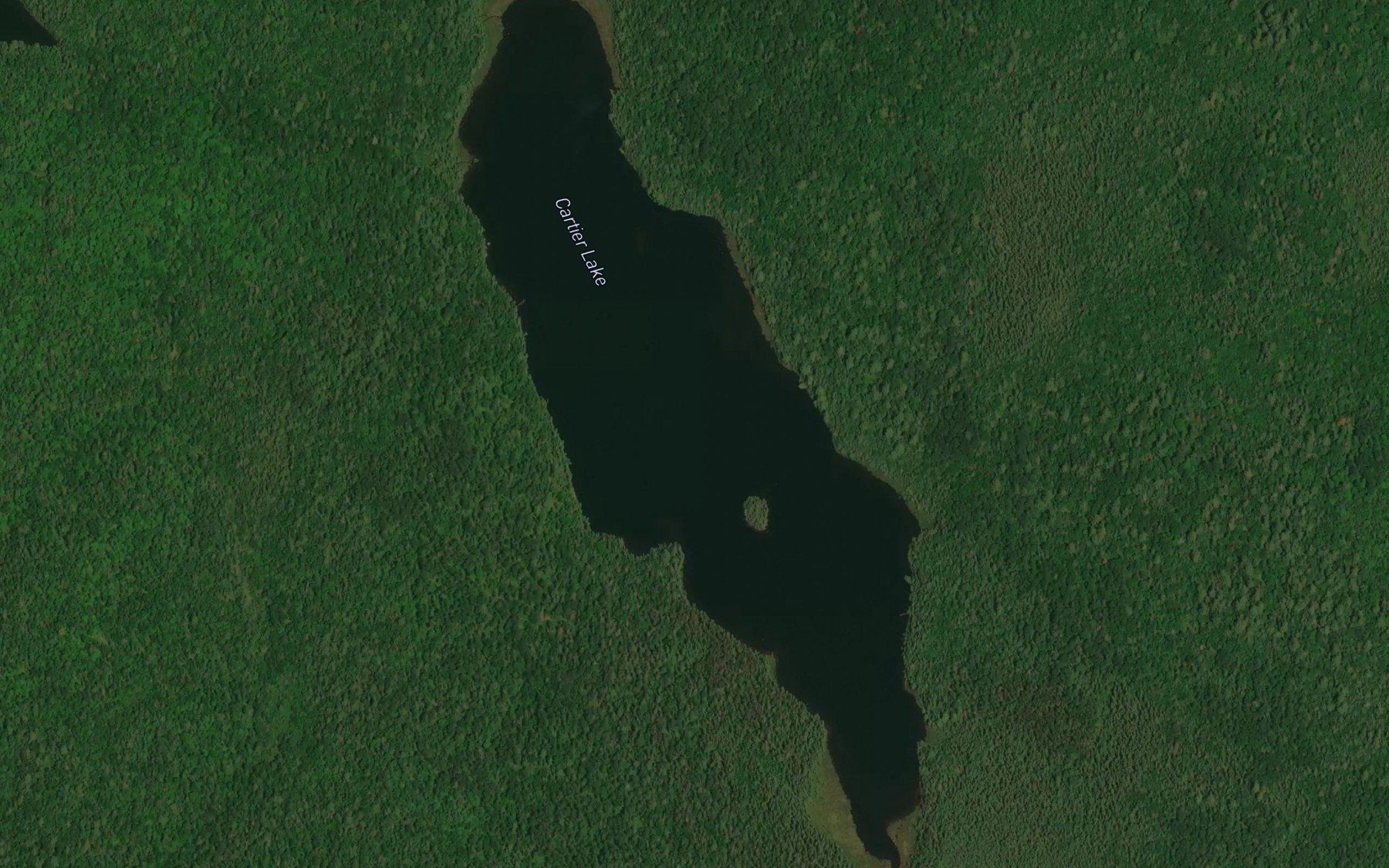Satellite map of the Cartier Lake