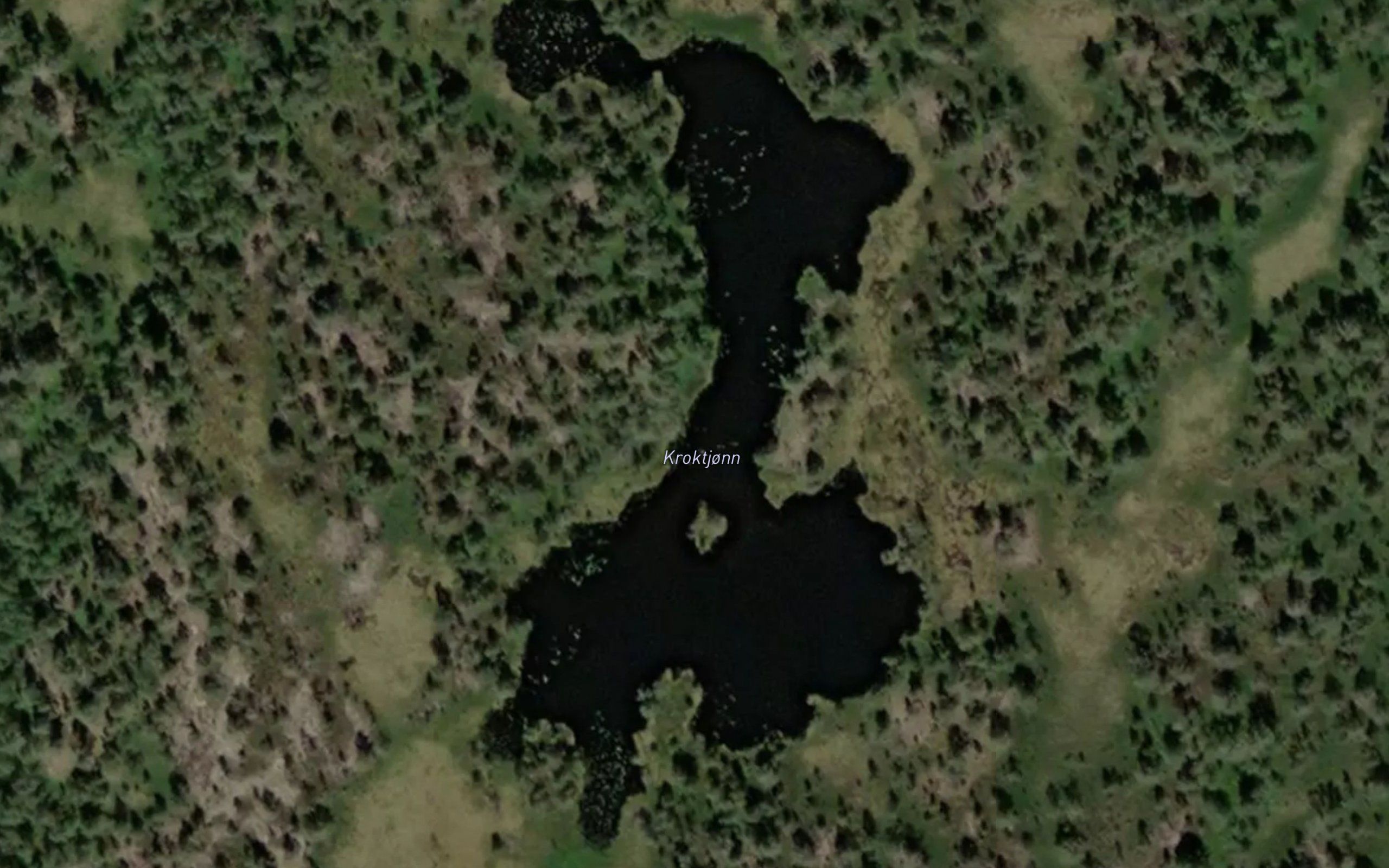 Kroktjonn