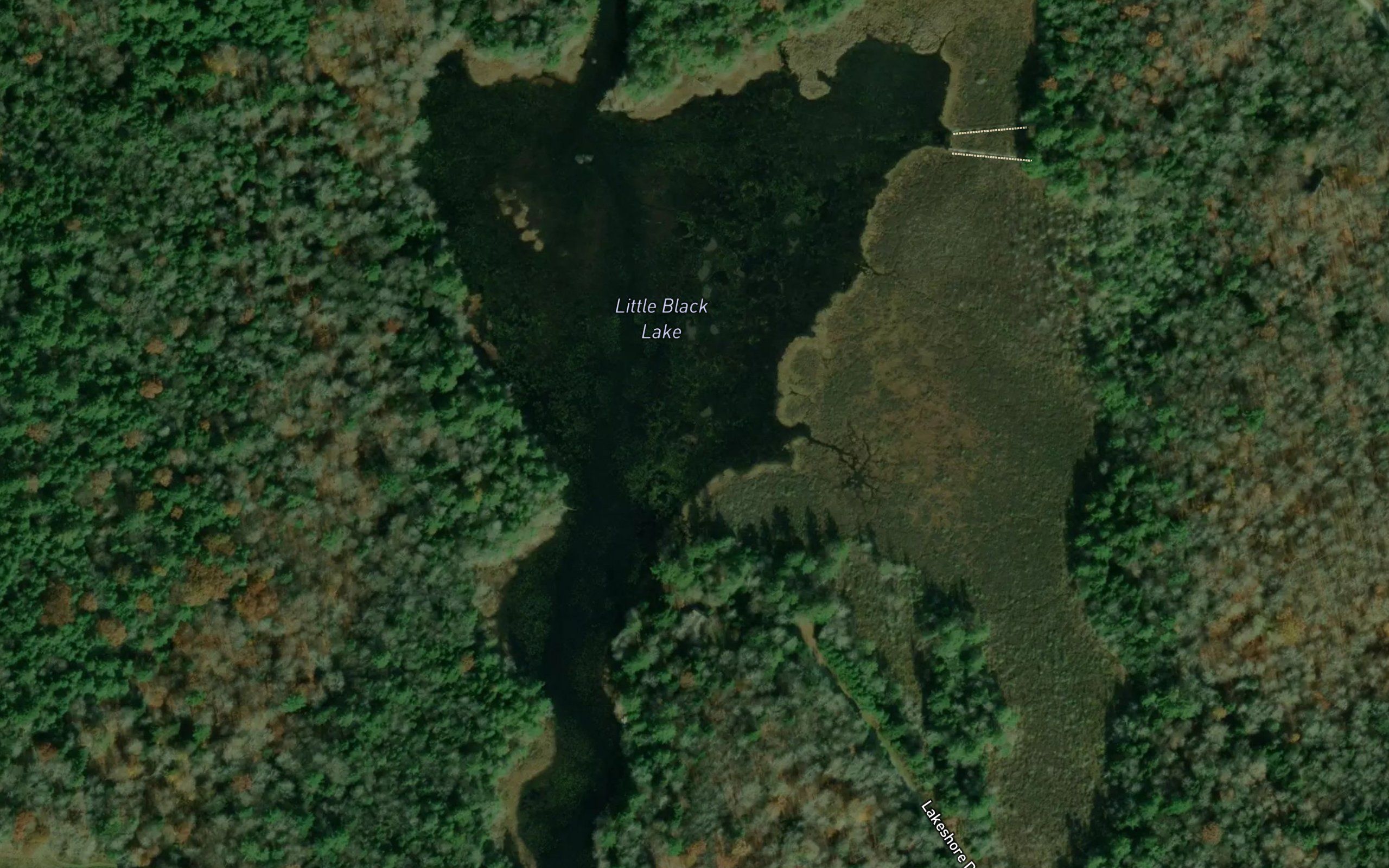 Little Black Lake