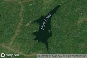 Mint Lake
