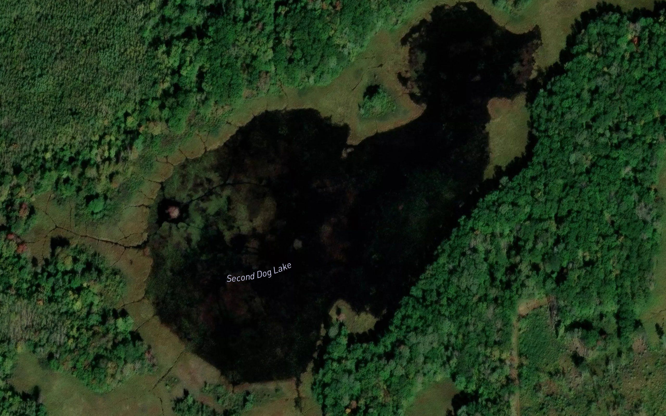 Second Dog Lake