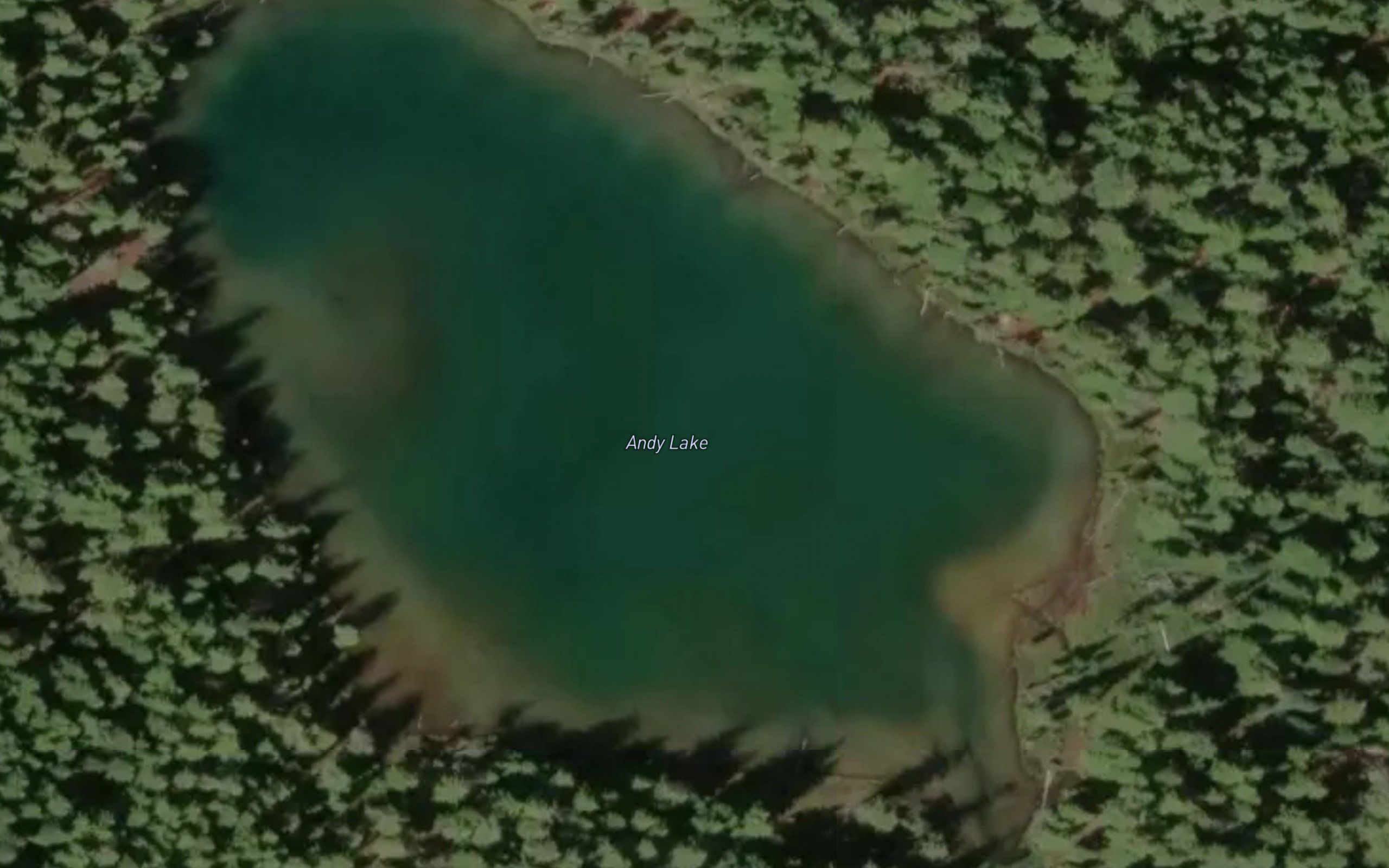 Andy Lake