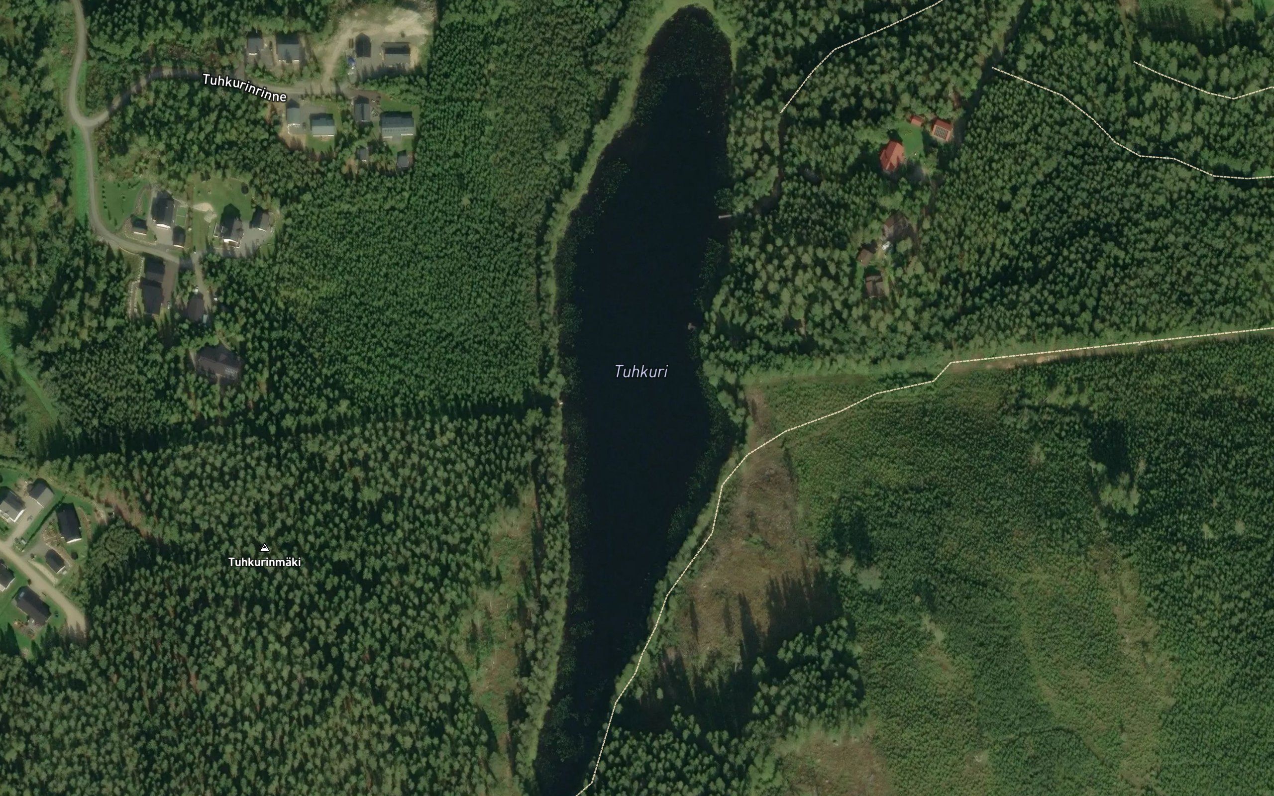 Tuhkuri