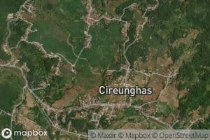 Ci Kupa