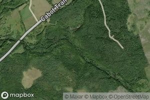 Little McDaniel Pool