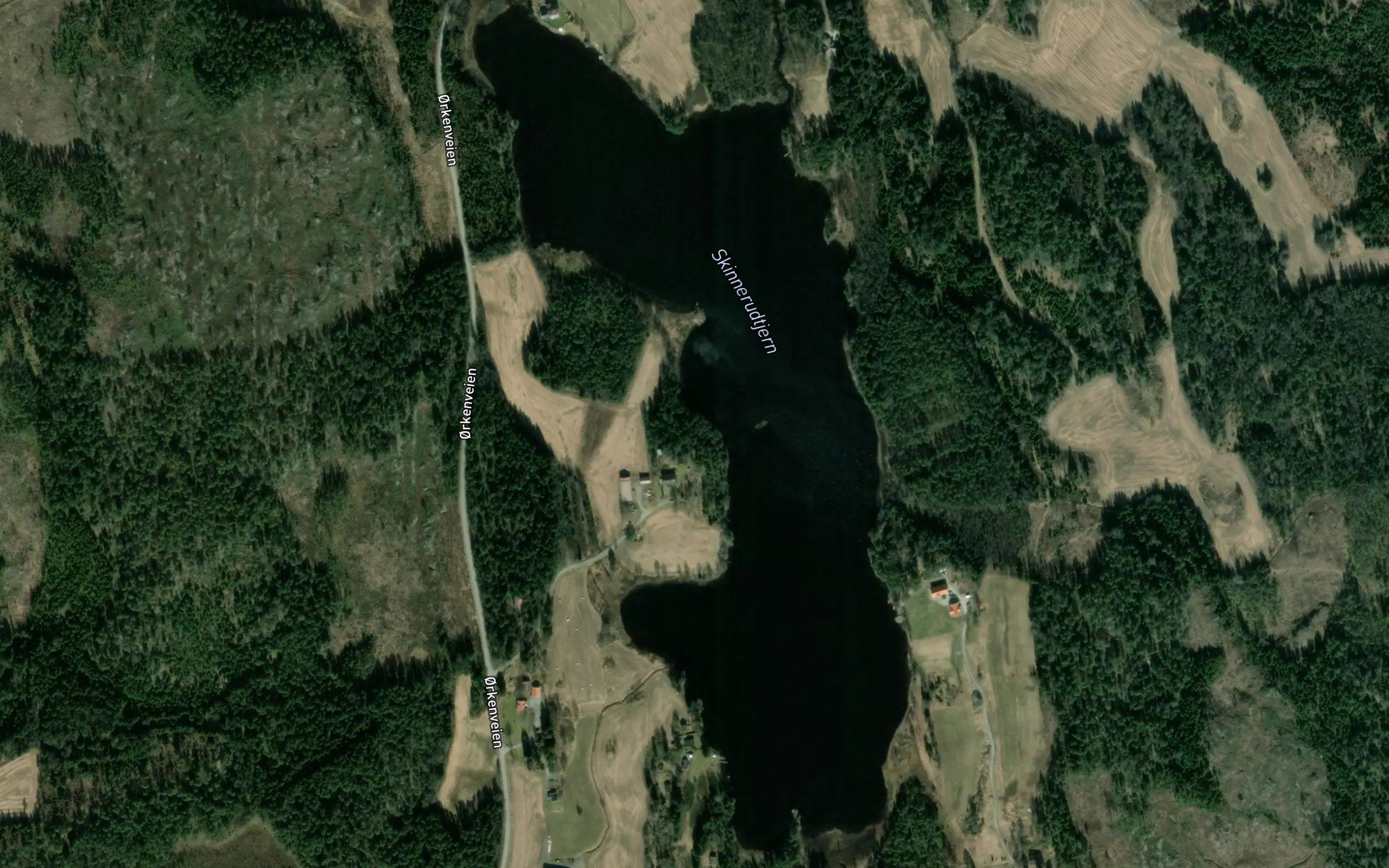 Skinnerudtjern
