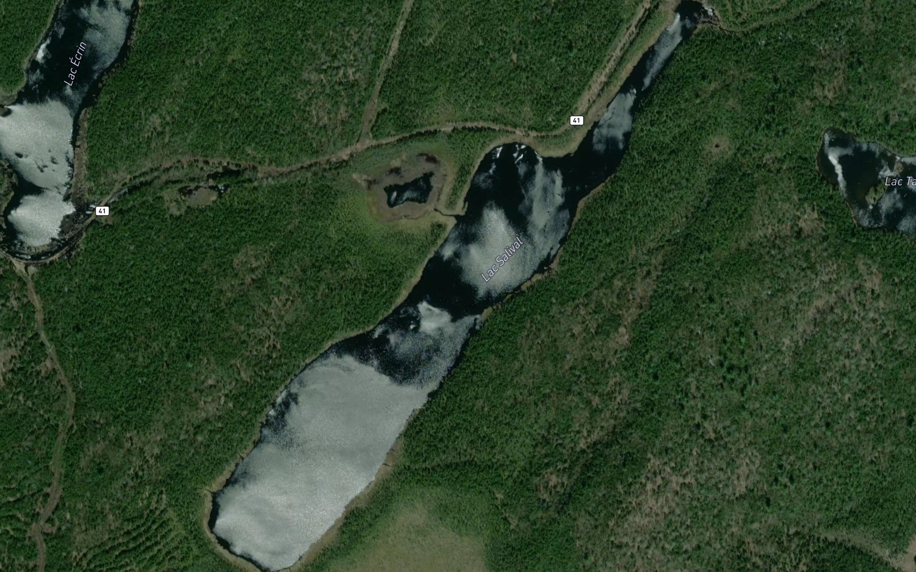 Satellite map of the Lac Salival