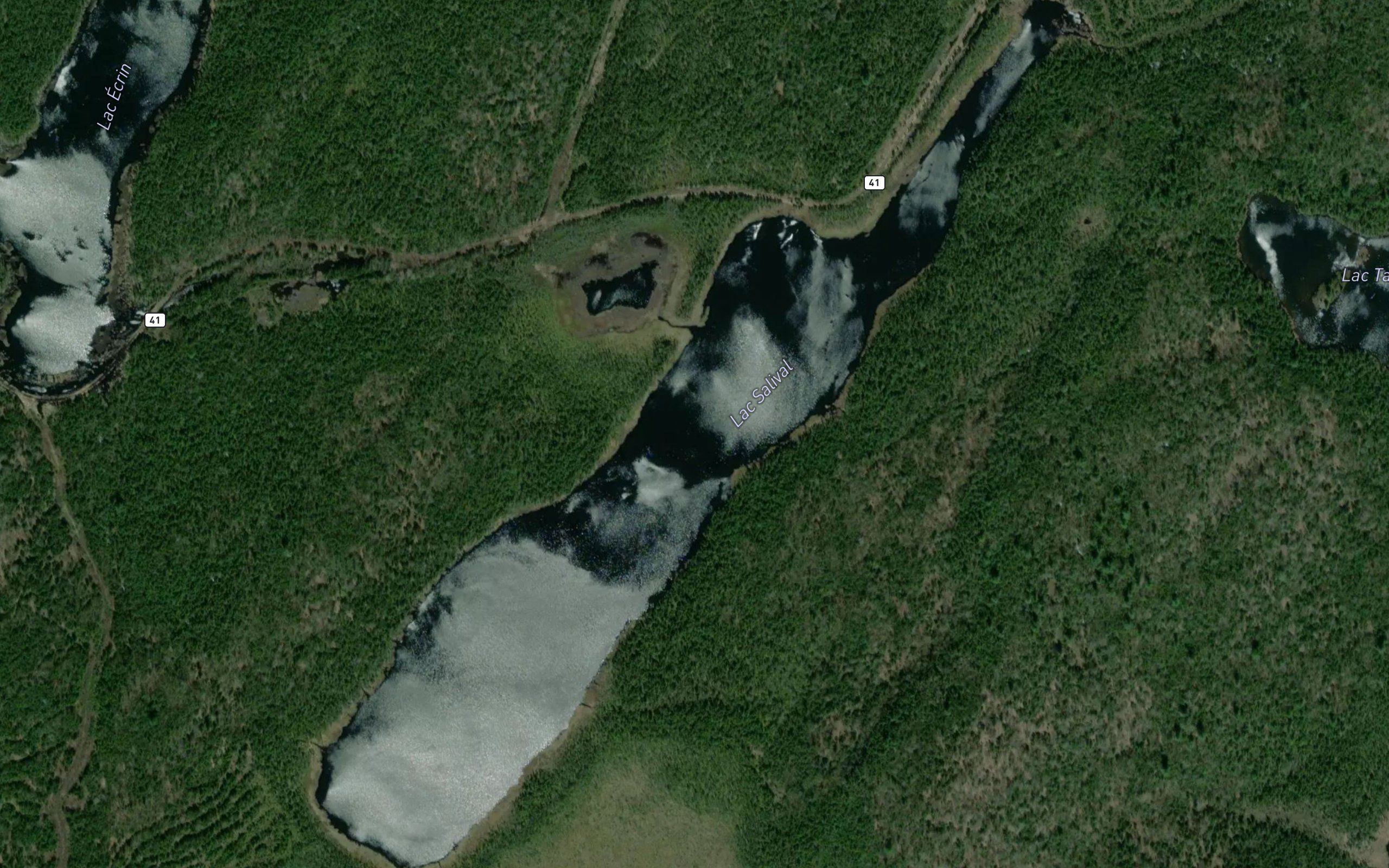 Lac Salival