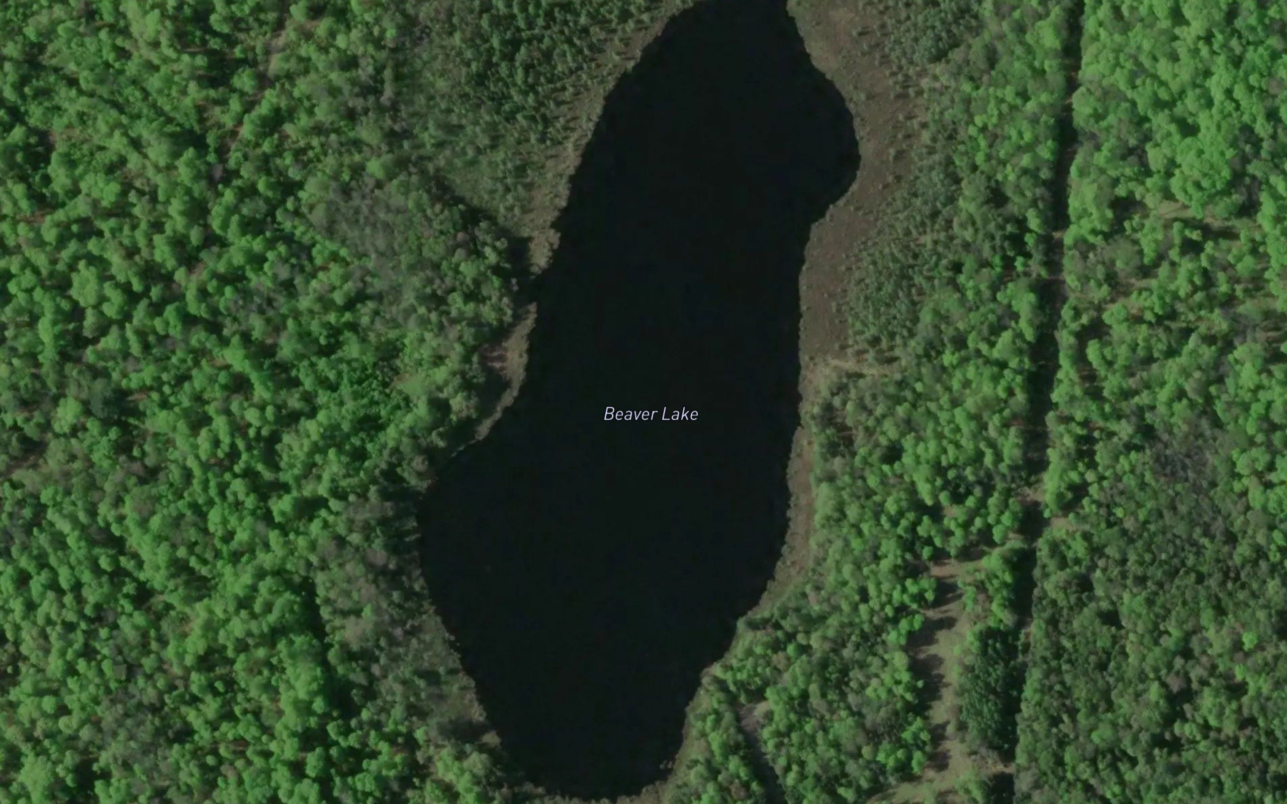 Beaver Lake