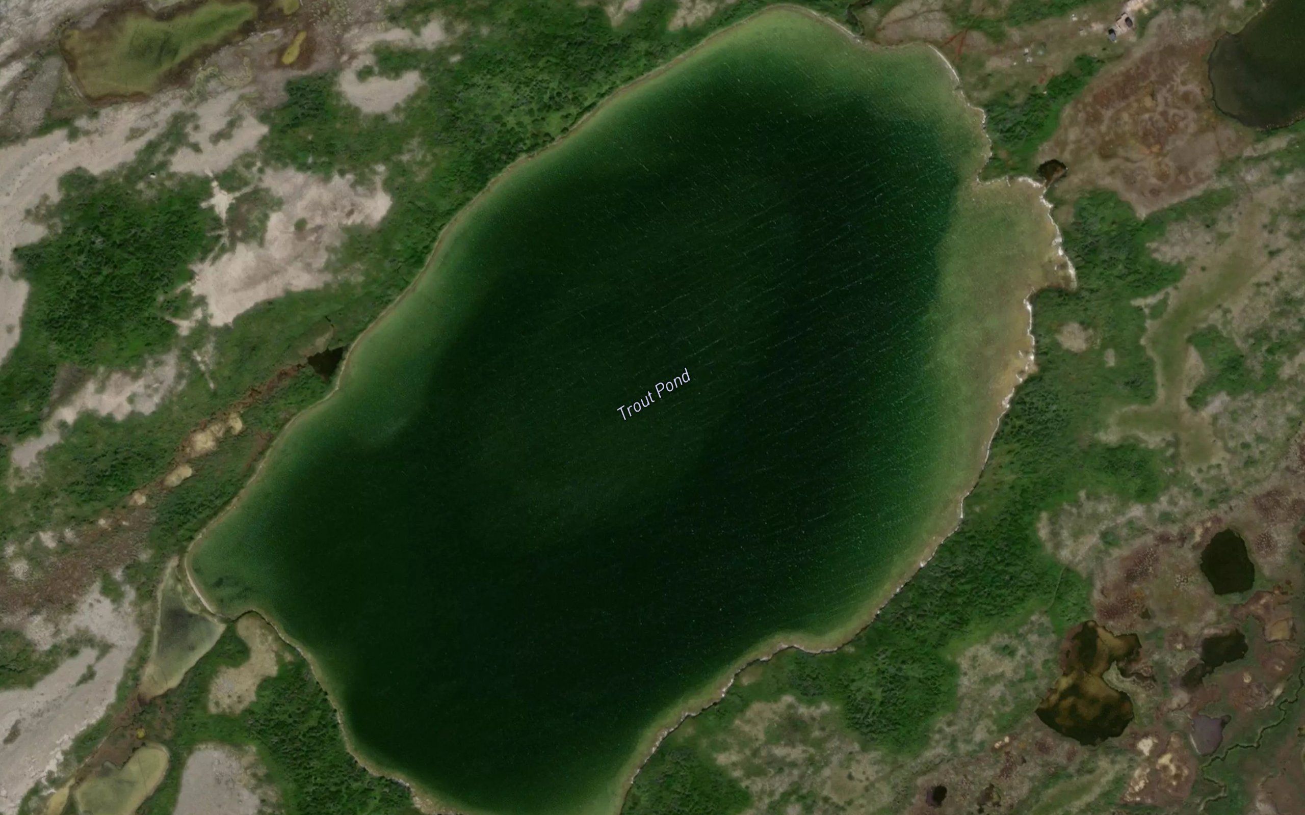 Trout Pond