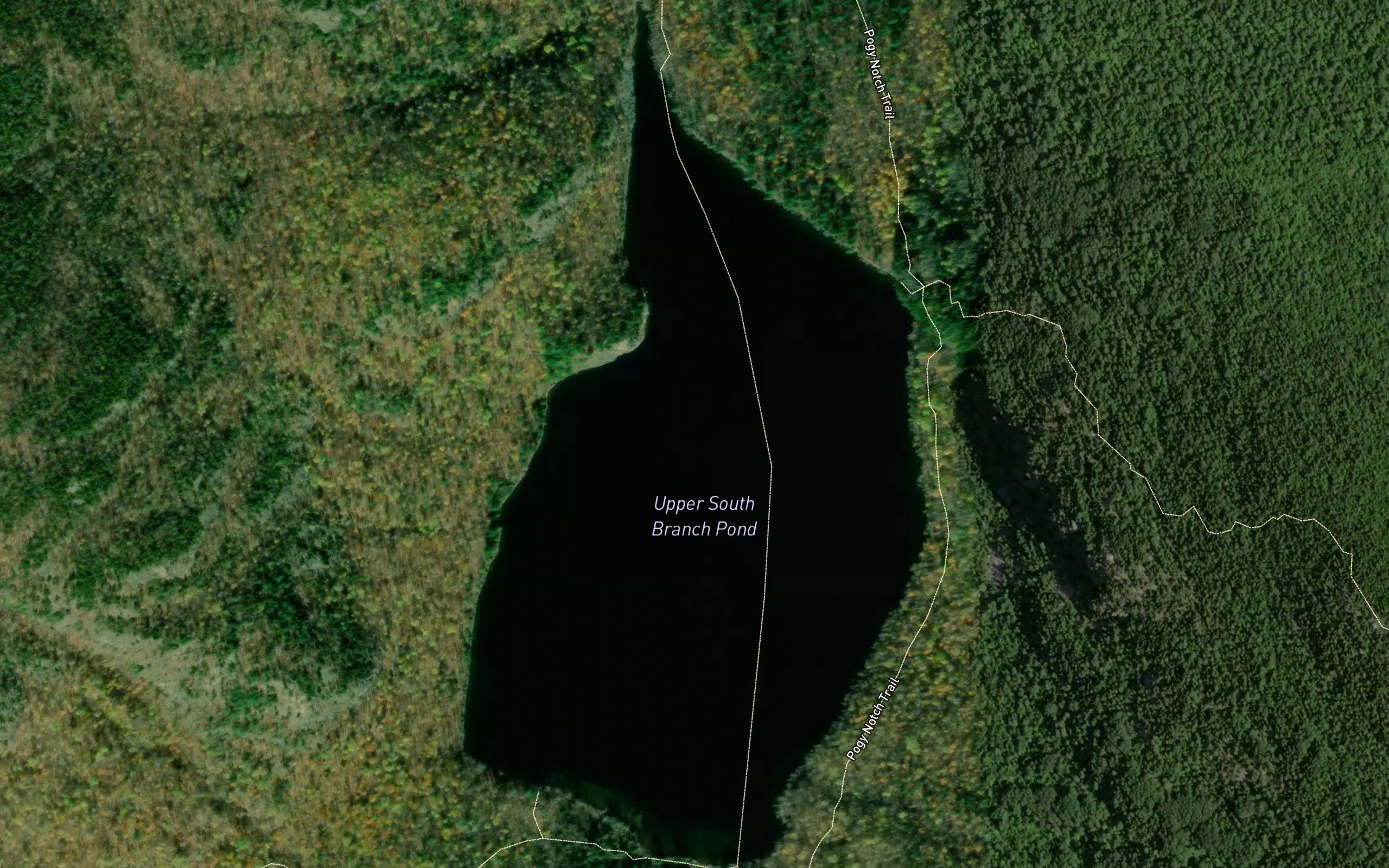 Upper South Branch Pond