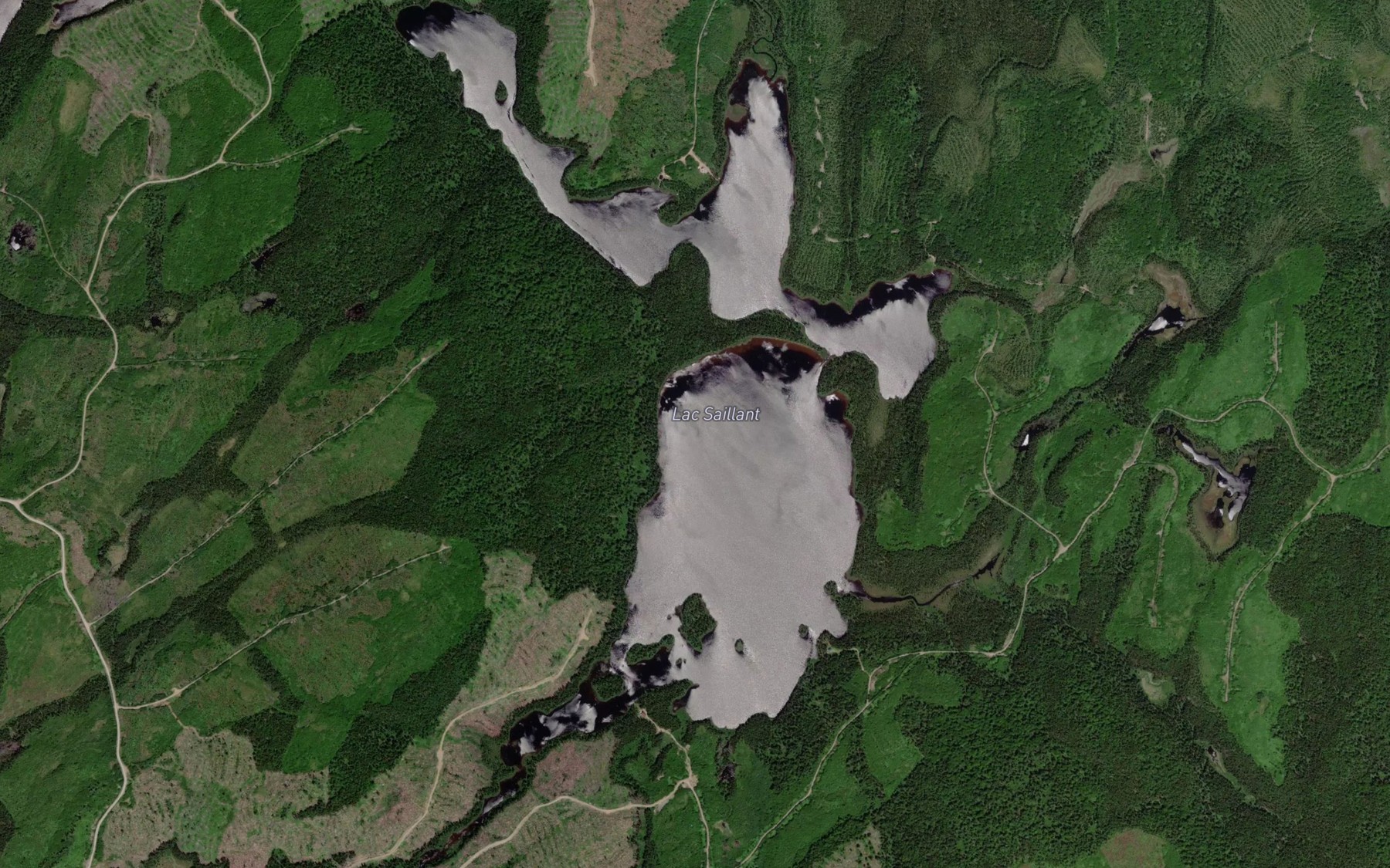 Satellite map of the Lac Saillant
