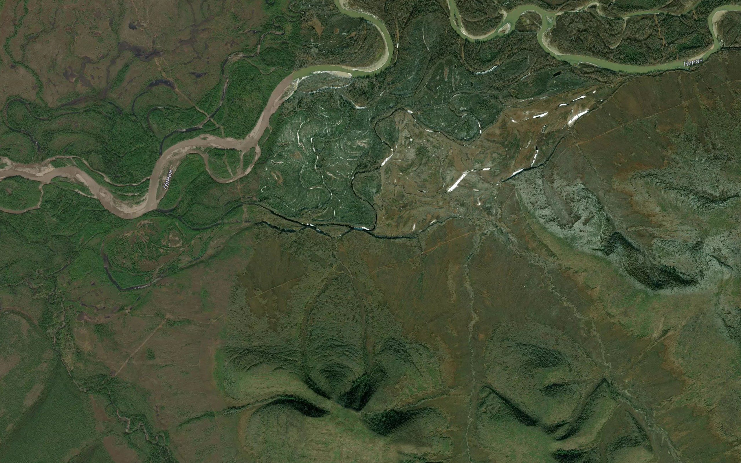 Kapral