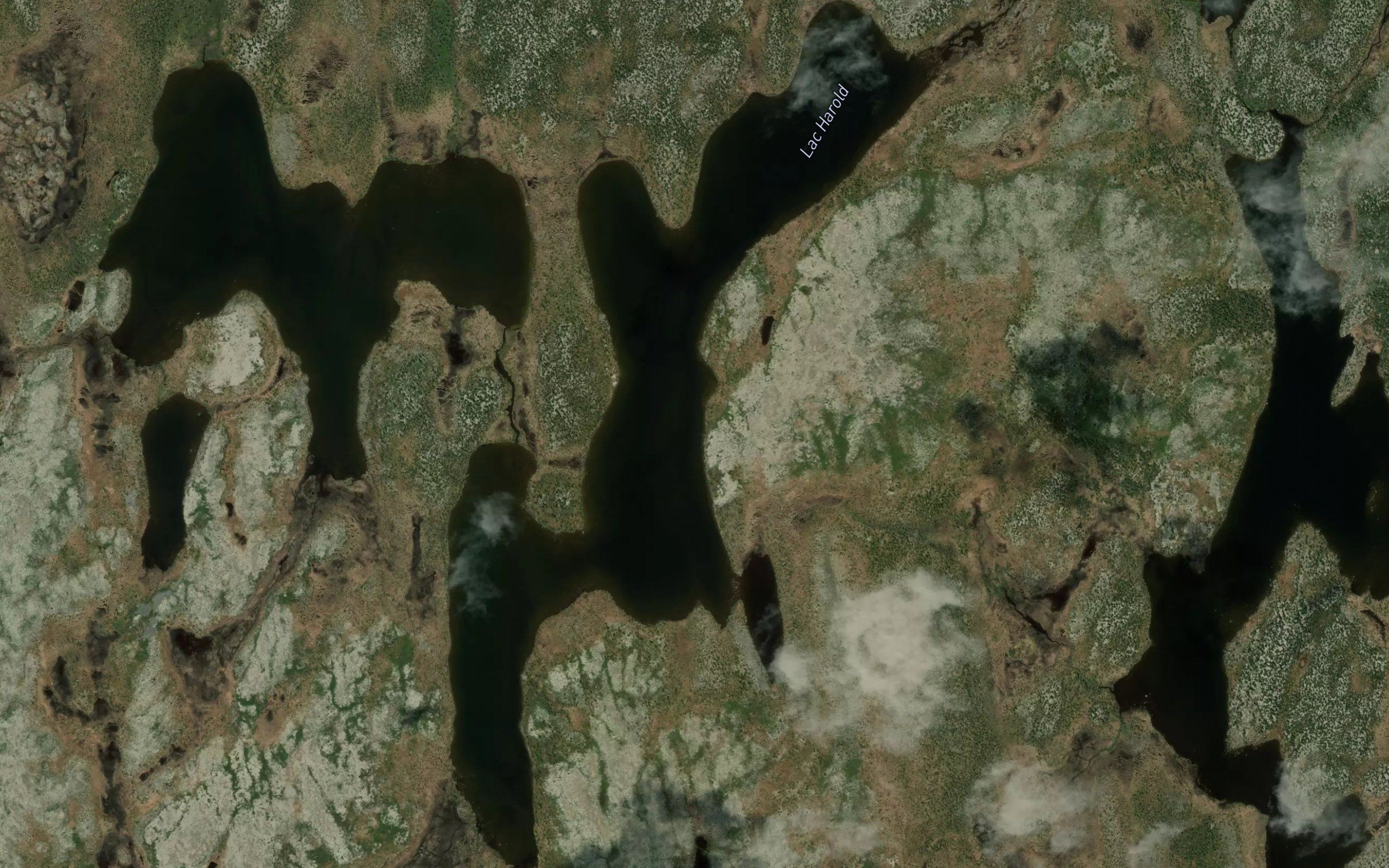 Lac Harold