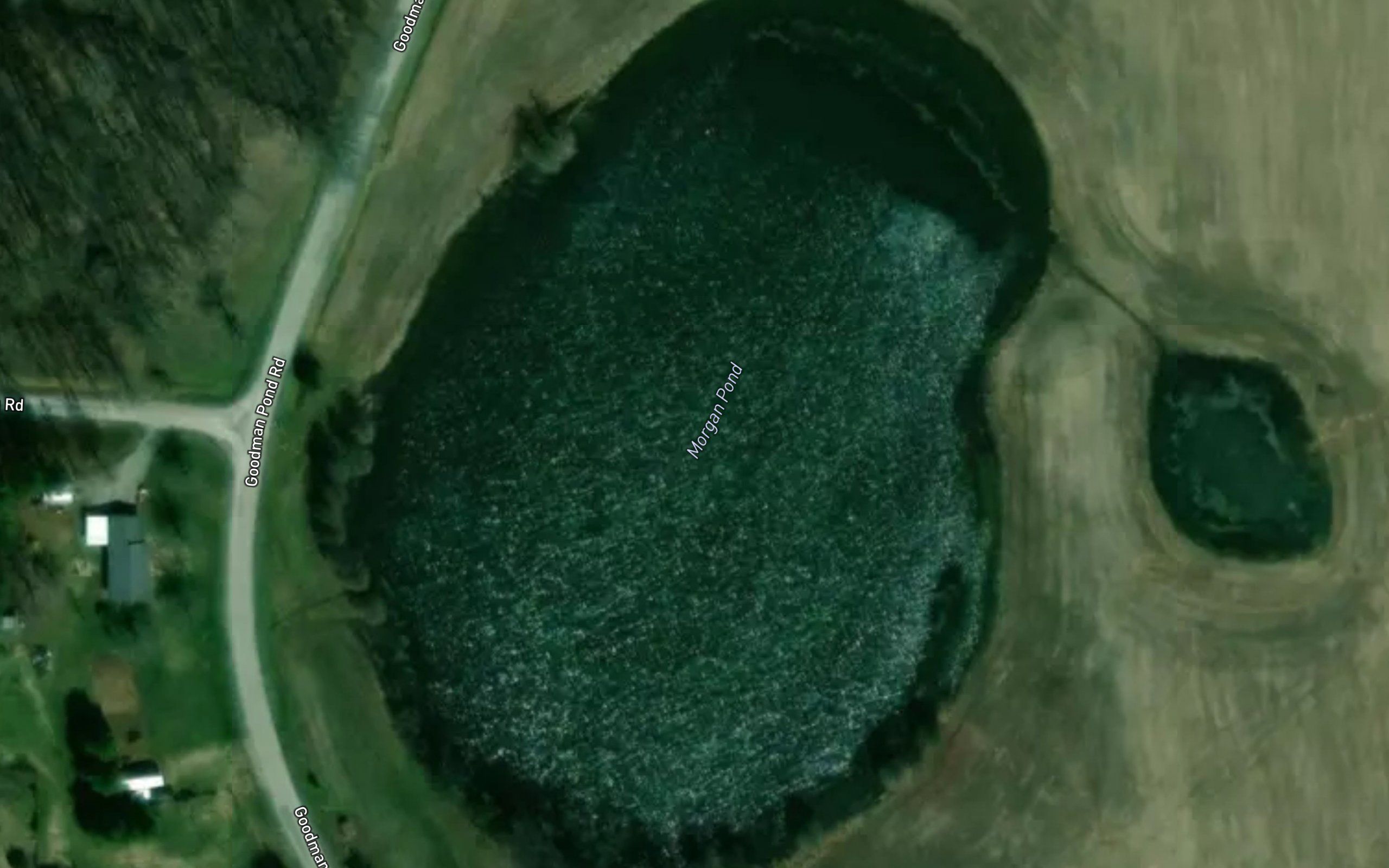 Morgan Pond