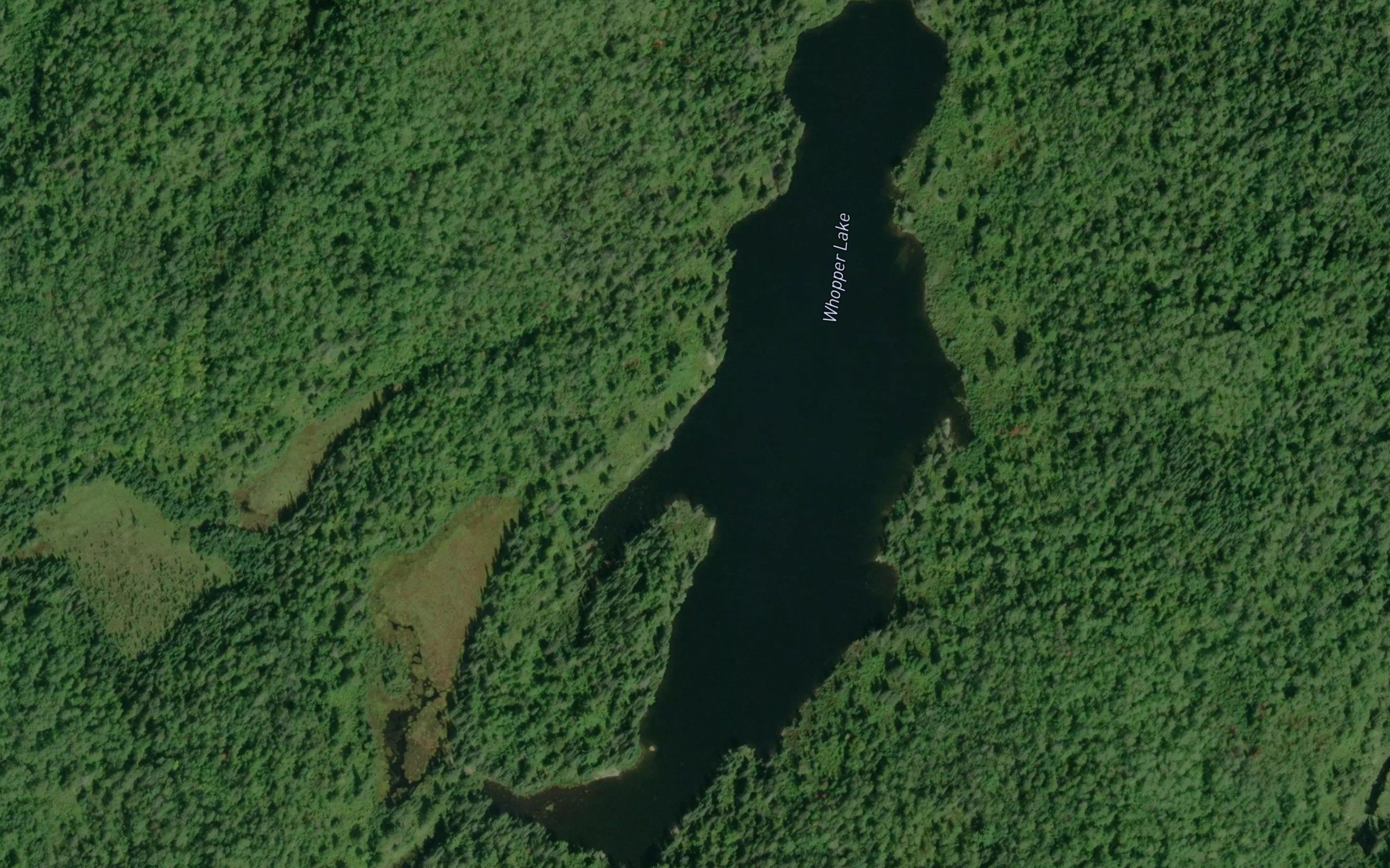 Whopper Lake
