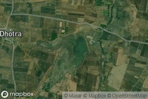 Dahigaon Dhanora Talab