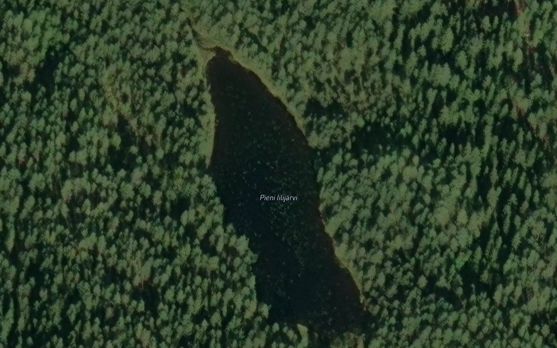 Satellite map of the Pieni Iilijarvi