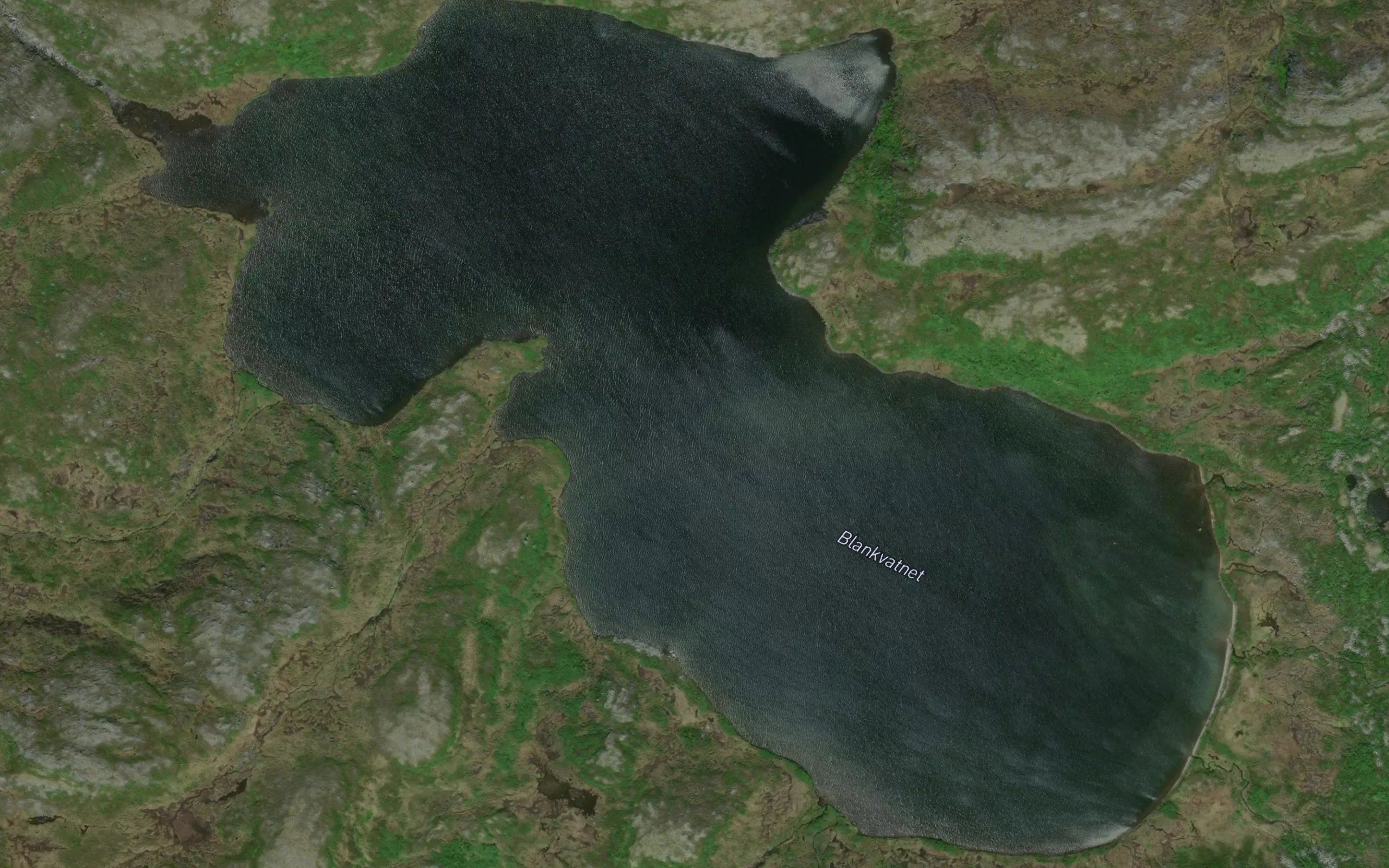 Blankvatnet