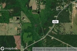 East Fork Burch Creek