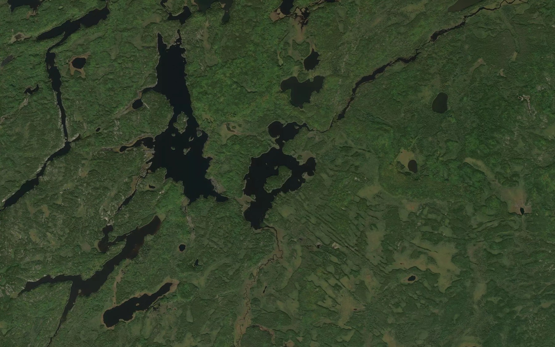 Satellite map of the Trenholm Lake