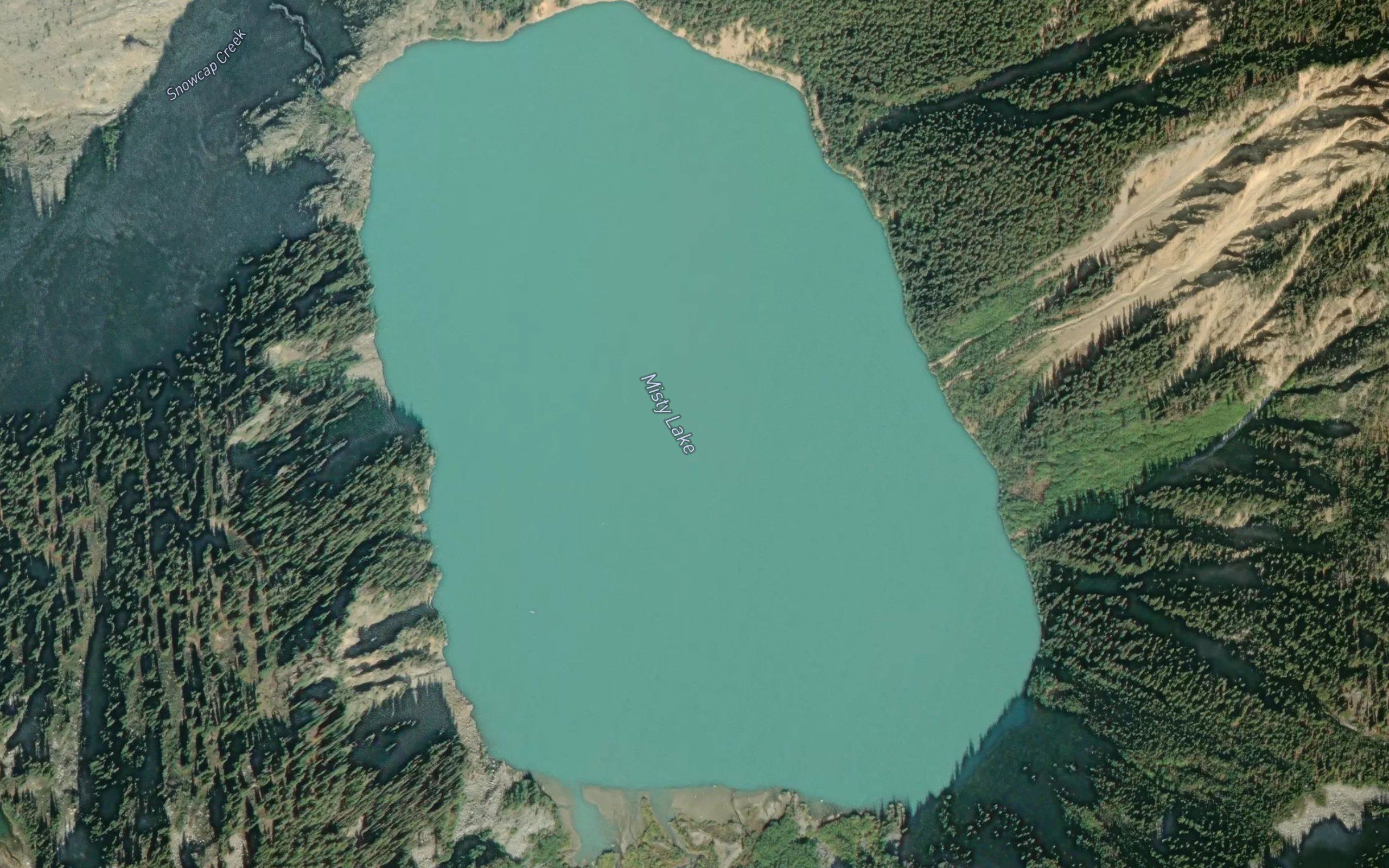 Misty Lake