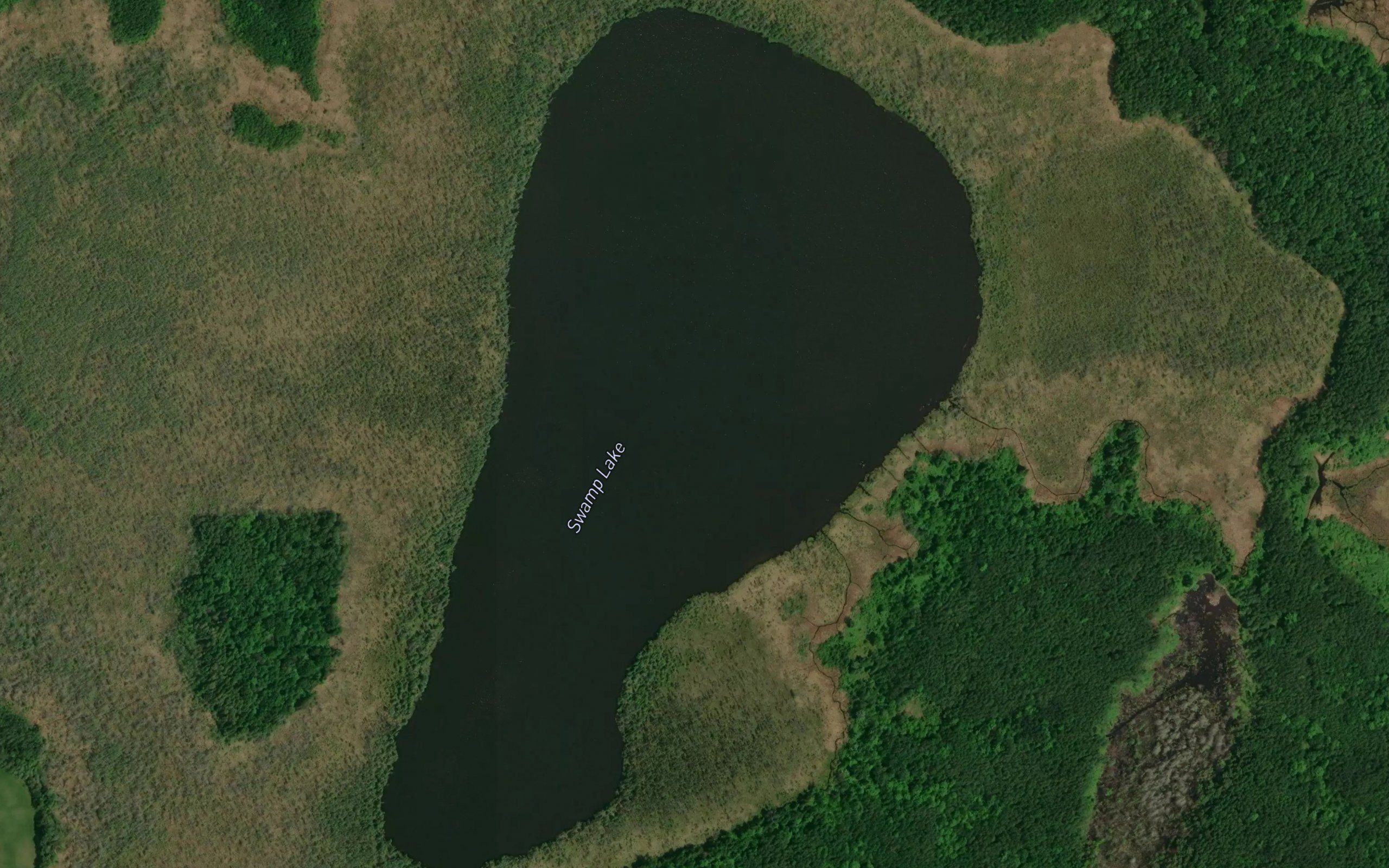 Swamp Lake