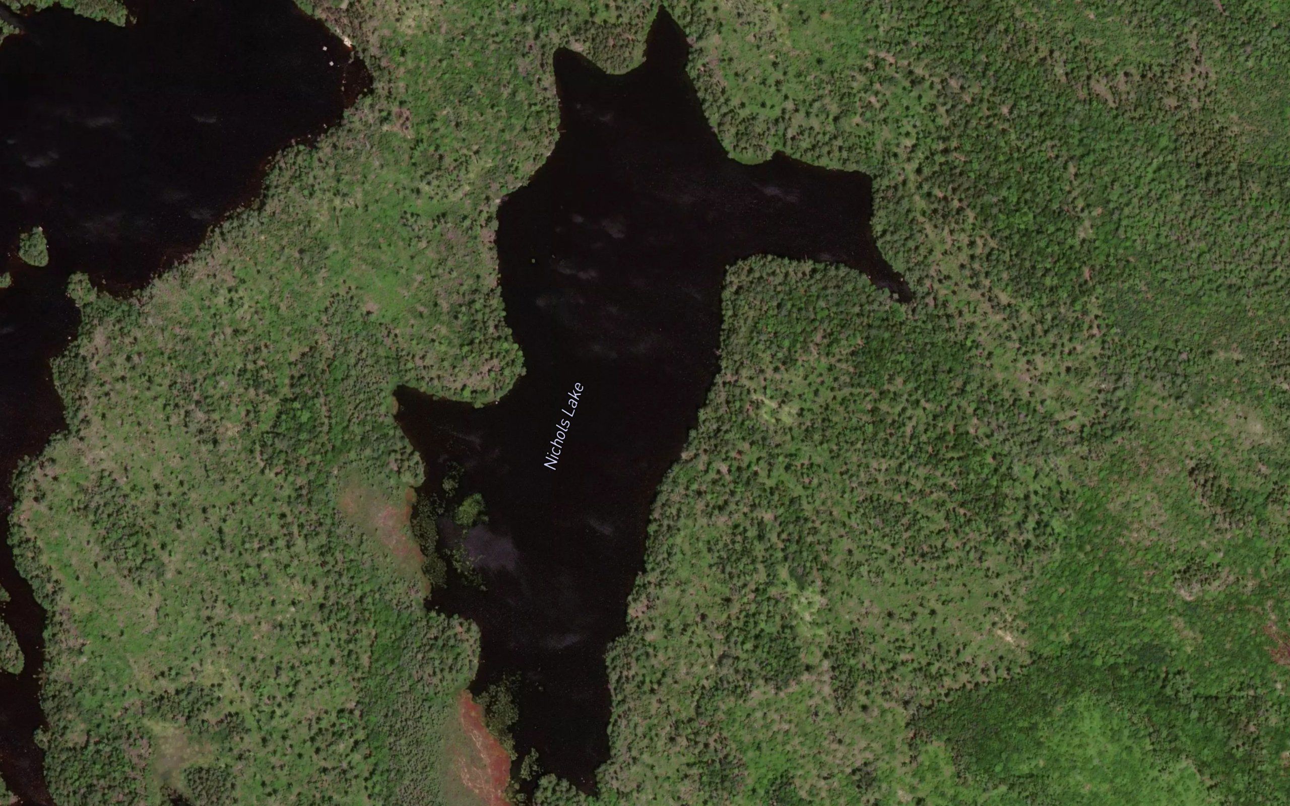 Nicholas Lake