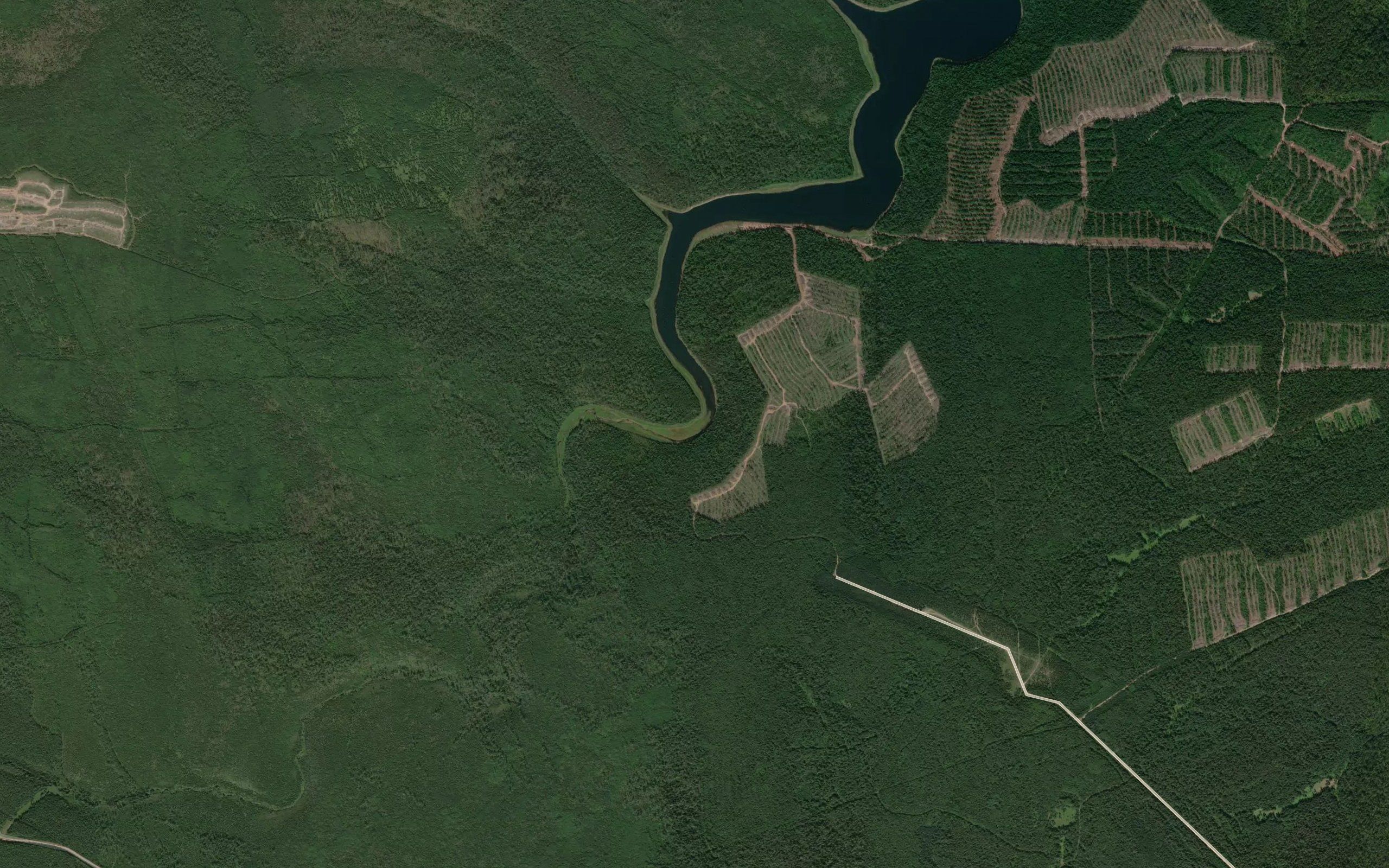 Chernaya