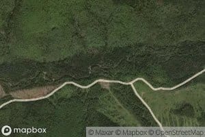 Berezovyy