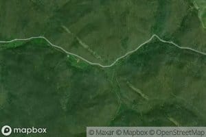 Cortland Fork