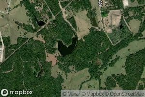 Ponderosa Lake