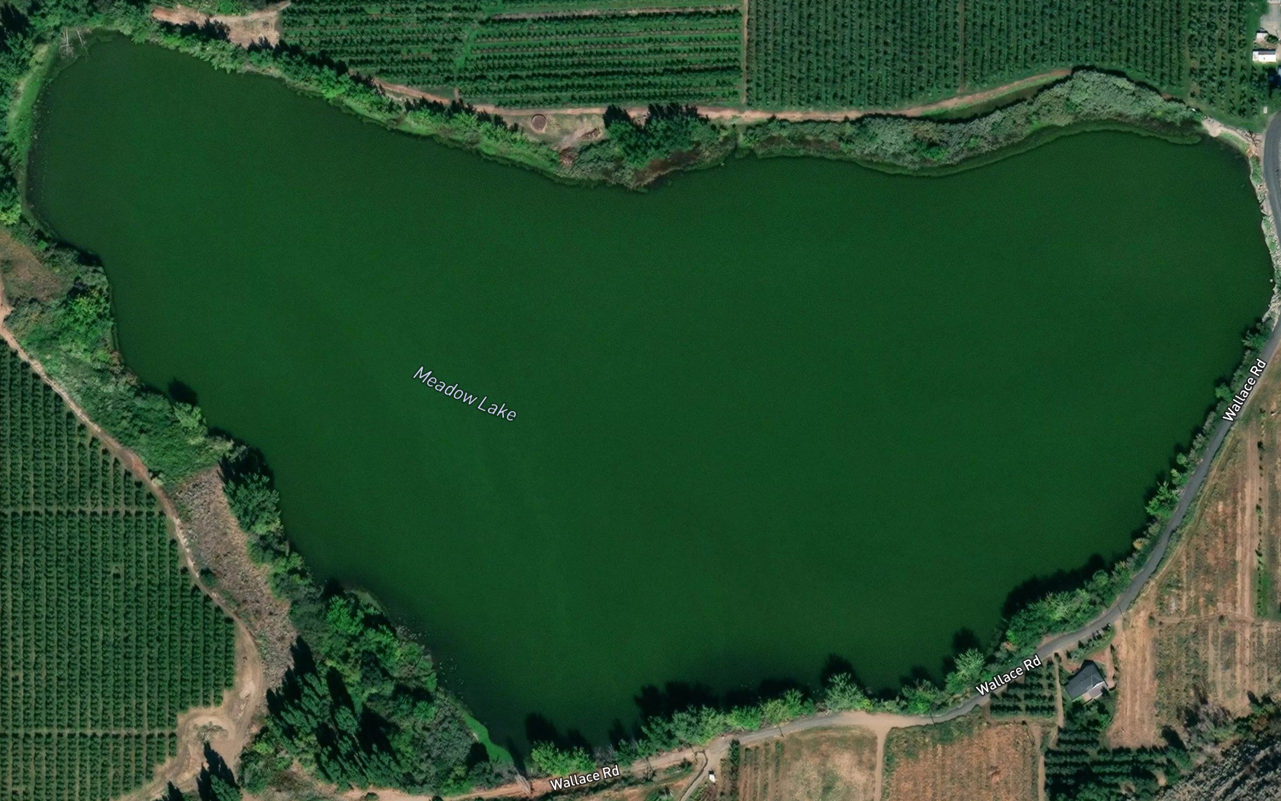 Meadow Lake