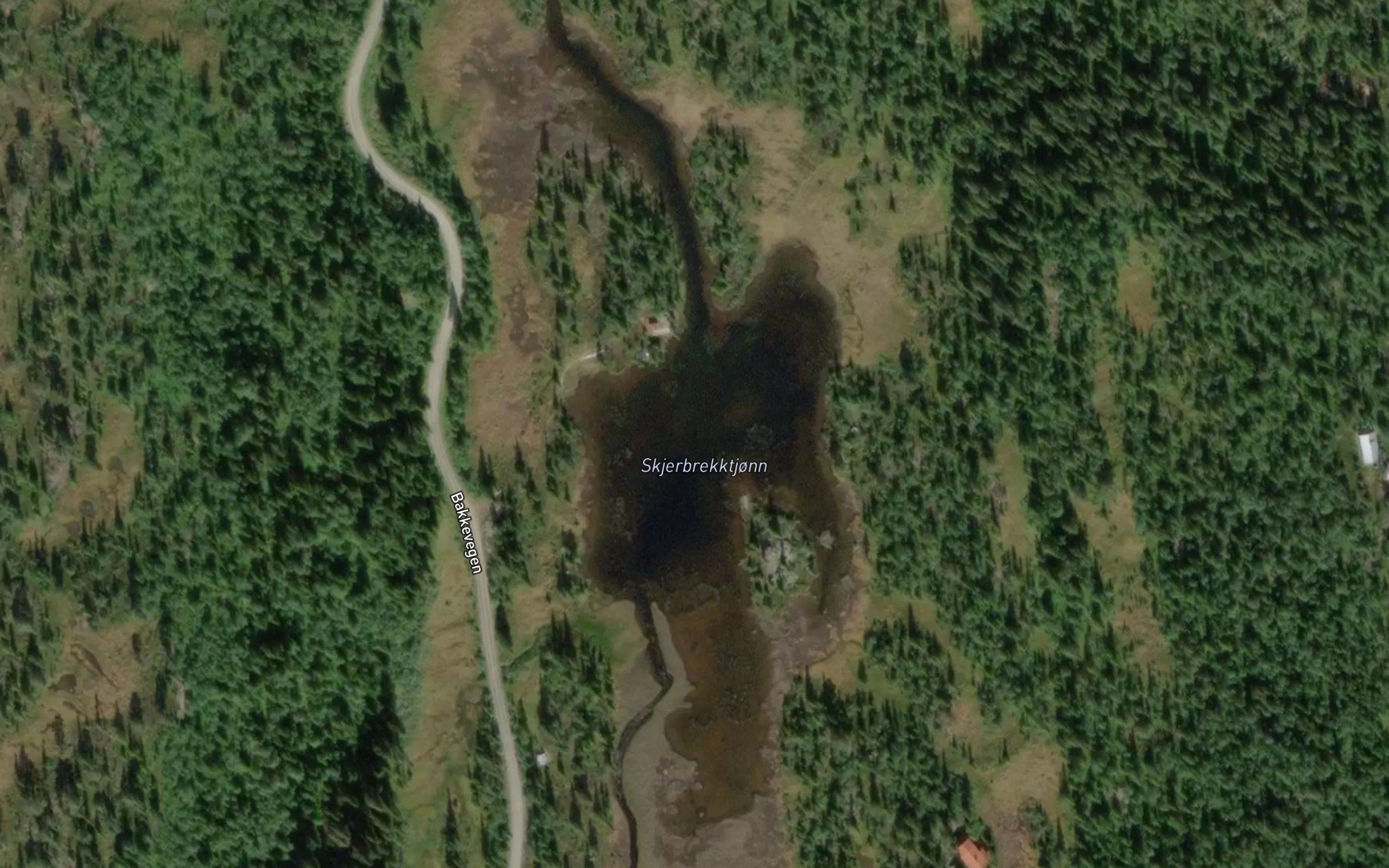 Skjerbrekktjonn