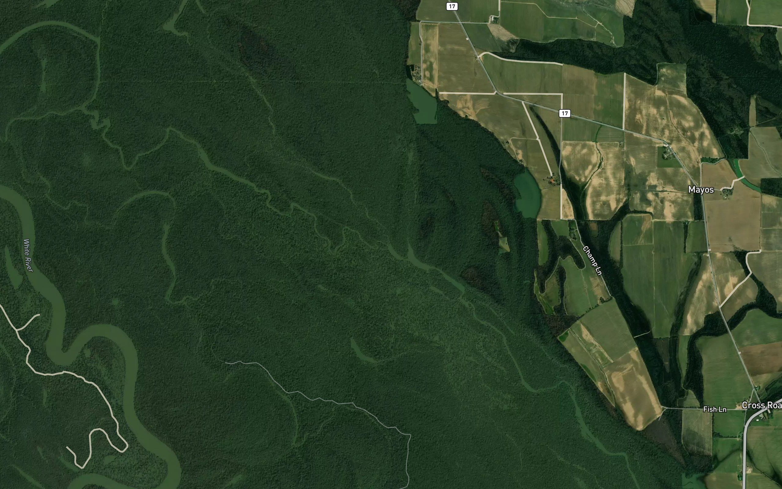 Hill Bayou