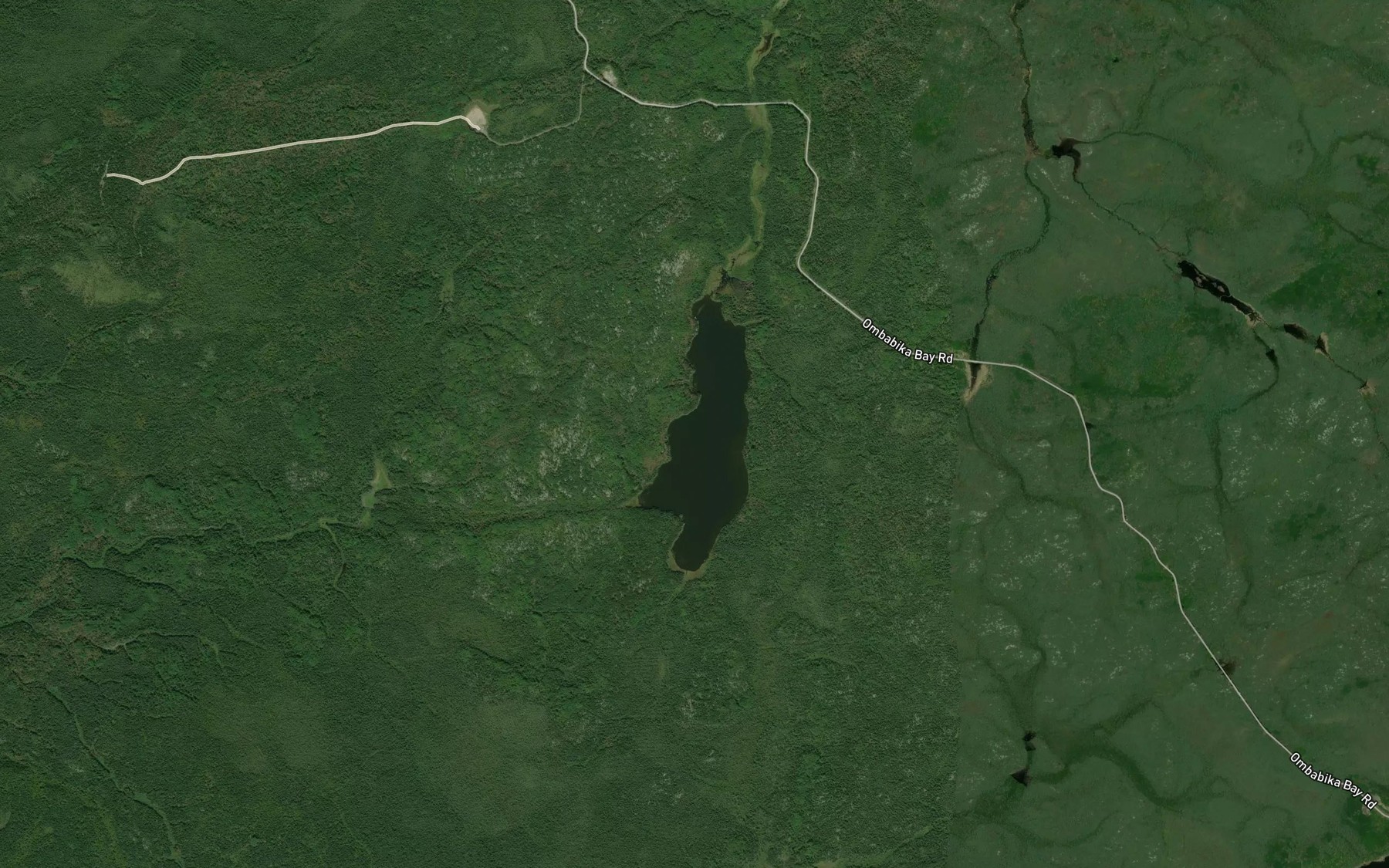 Satellite map of the Davidson Lake