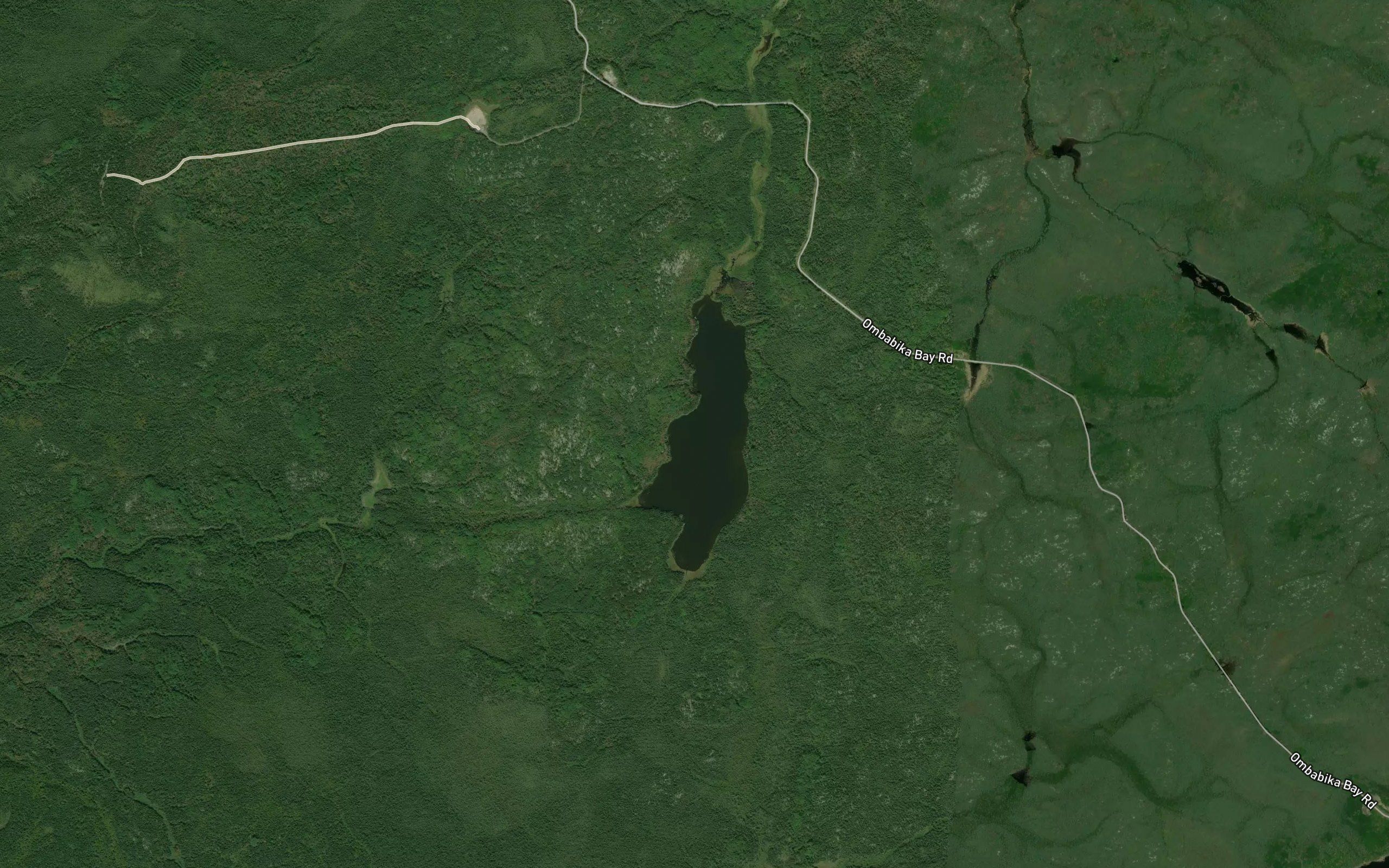 Davidson Lake