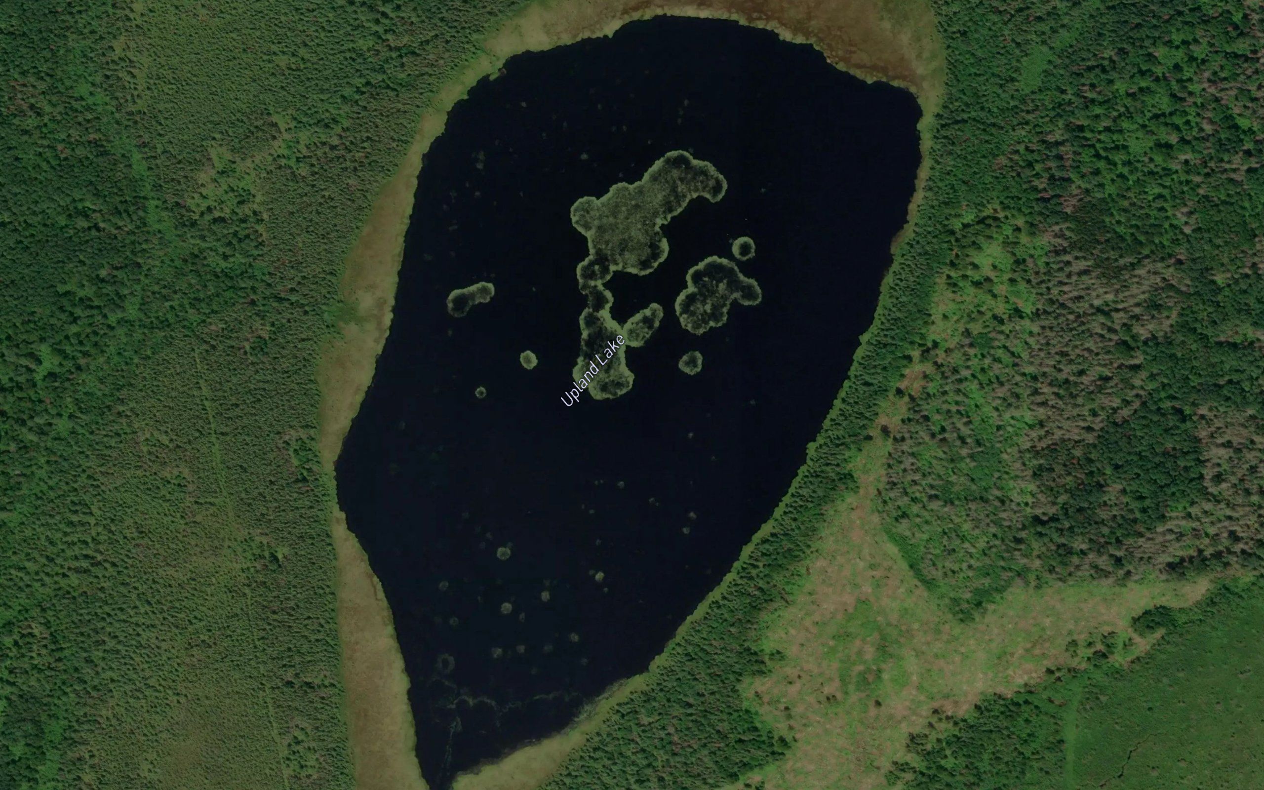 Upland Lake