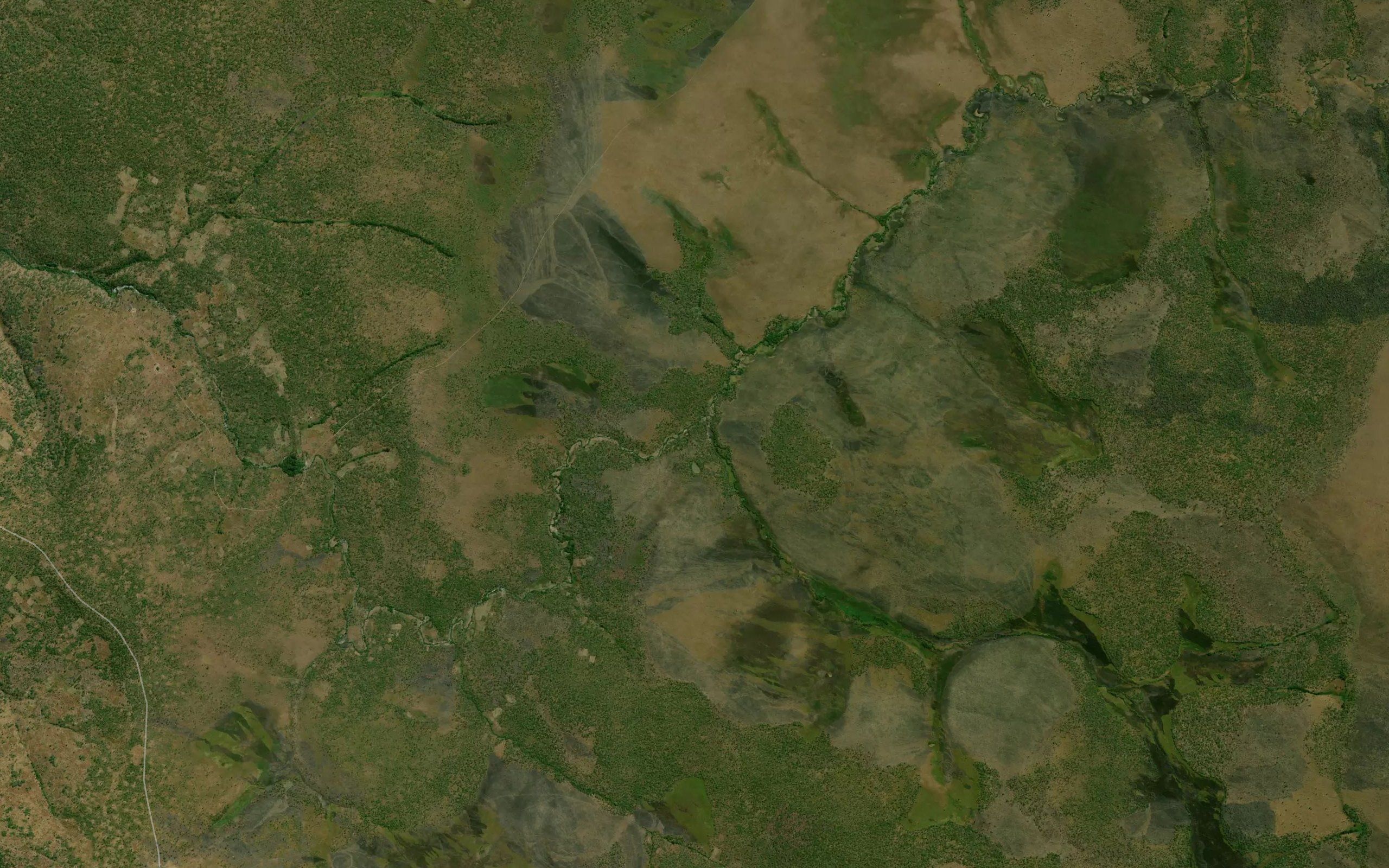 Kamibanga