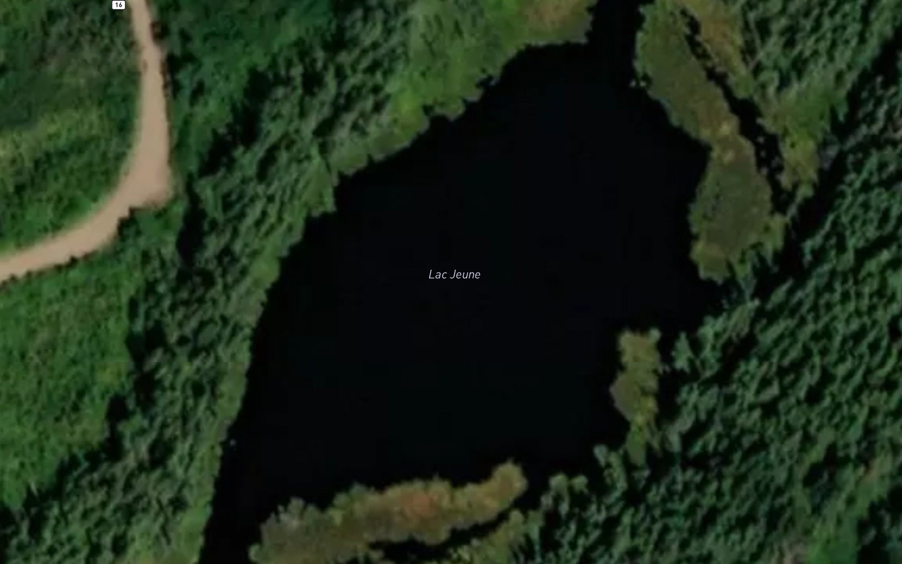 Satellite map of the Lac Jeune